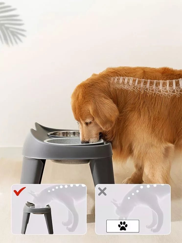 Double Pet Bowls with Stand - Loving It Shop
