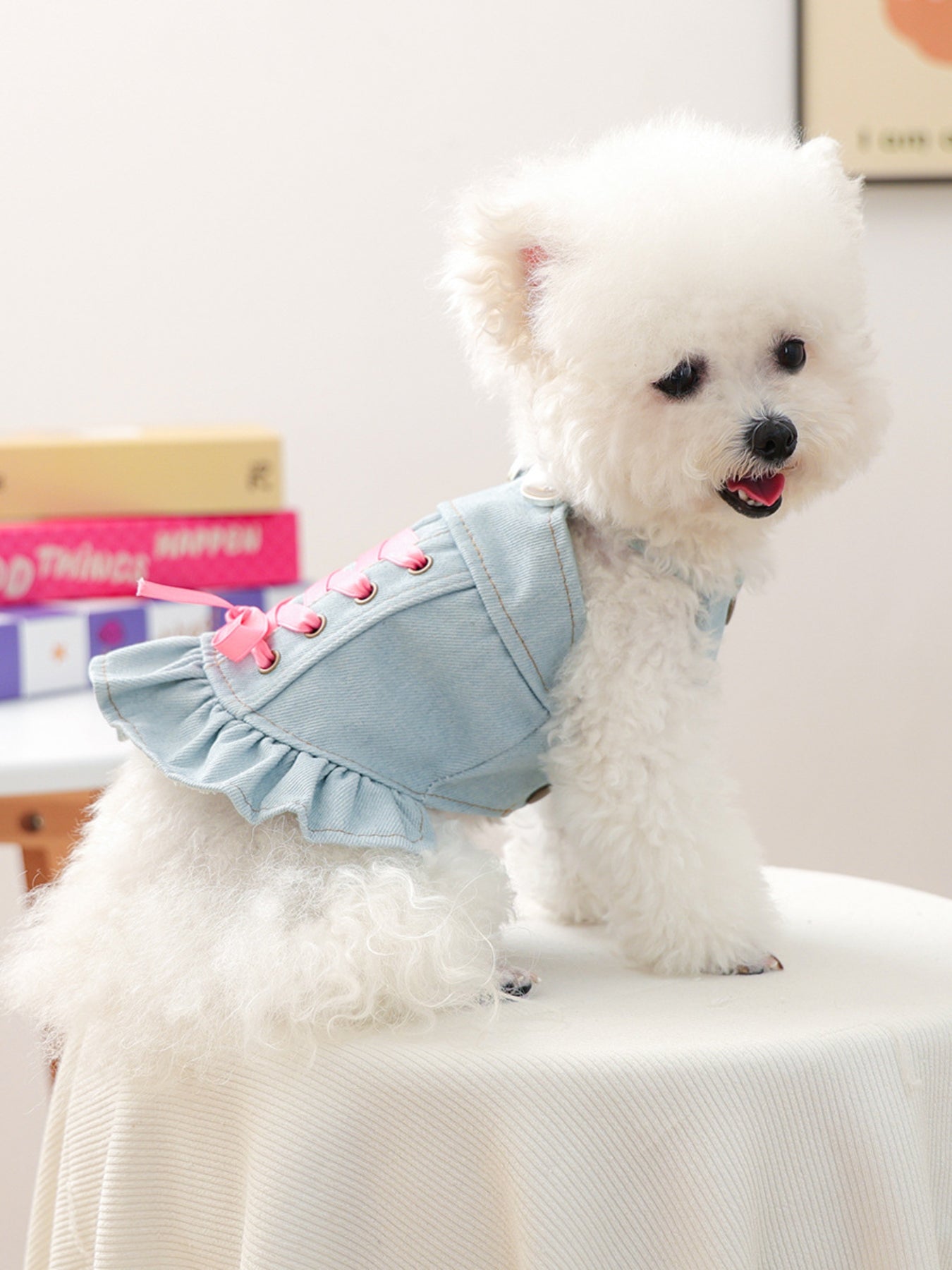 Denim Lace - Up Ruffle Pet Dress - Loving It Shop