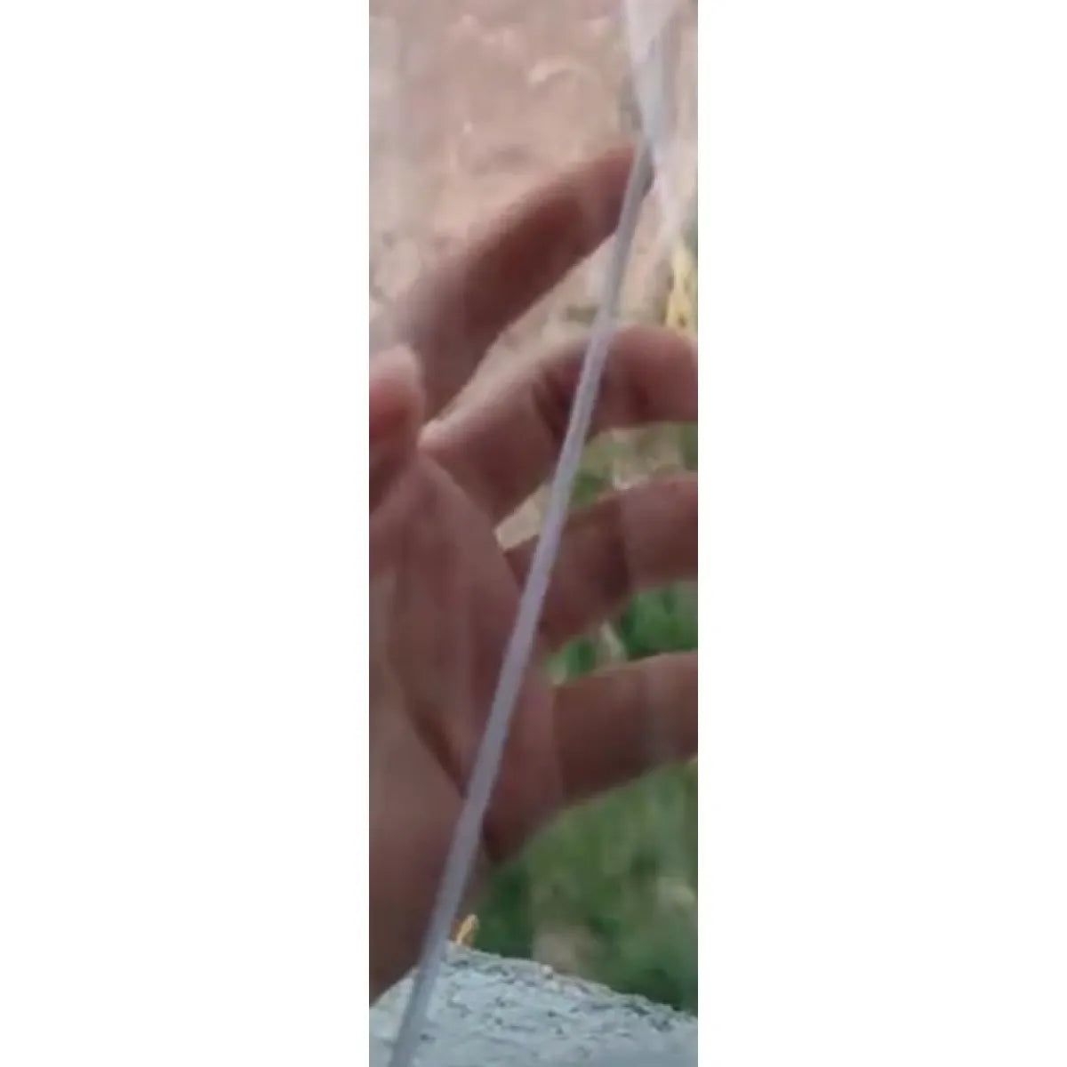 Spray Water Bottle