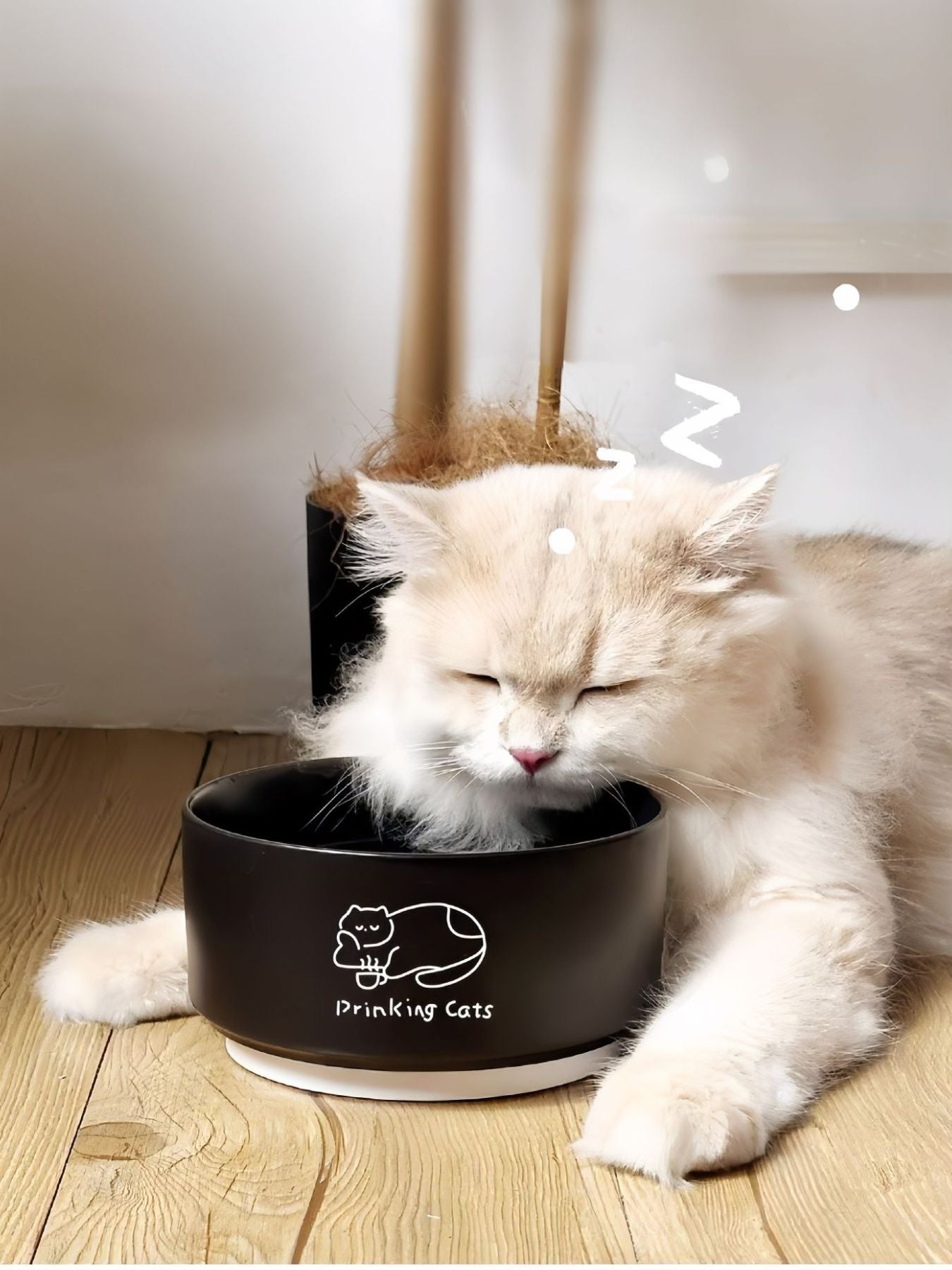 Drinking Cats Pattern Ceramic Pet Bowl - Loving It Shop