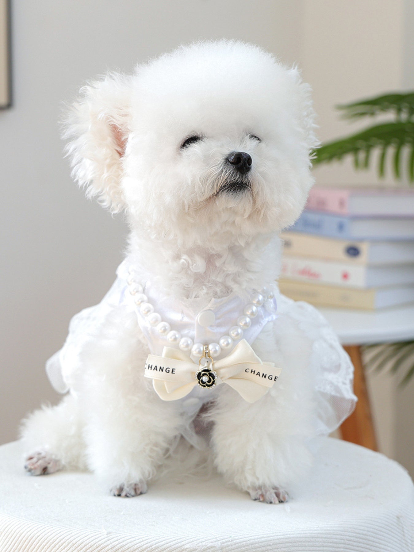 Pearl Bowknot Pet Necklace - Loving It Shop