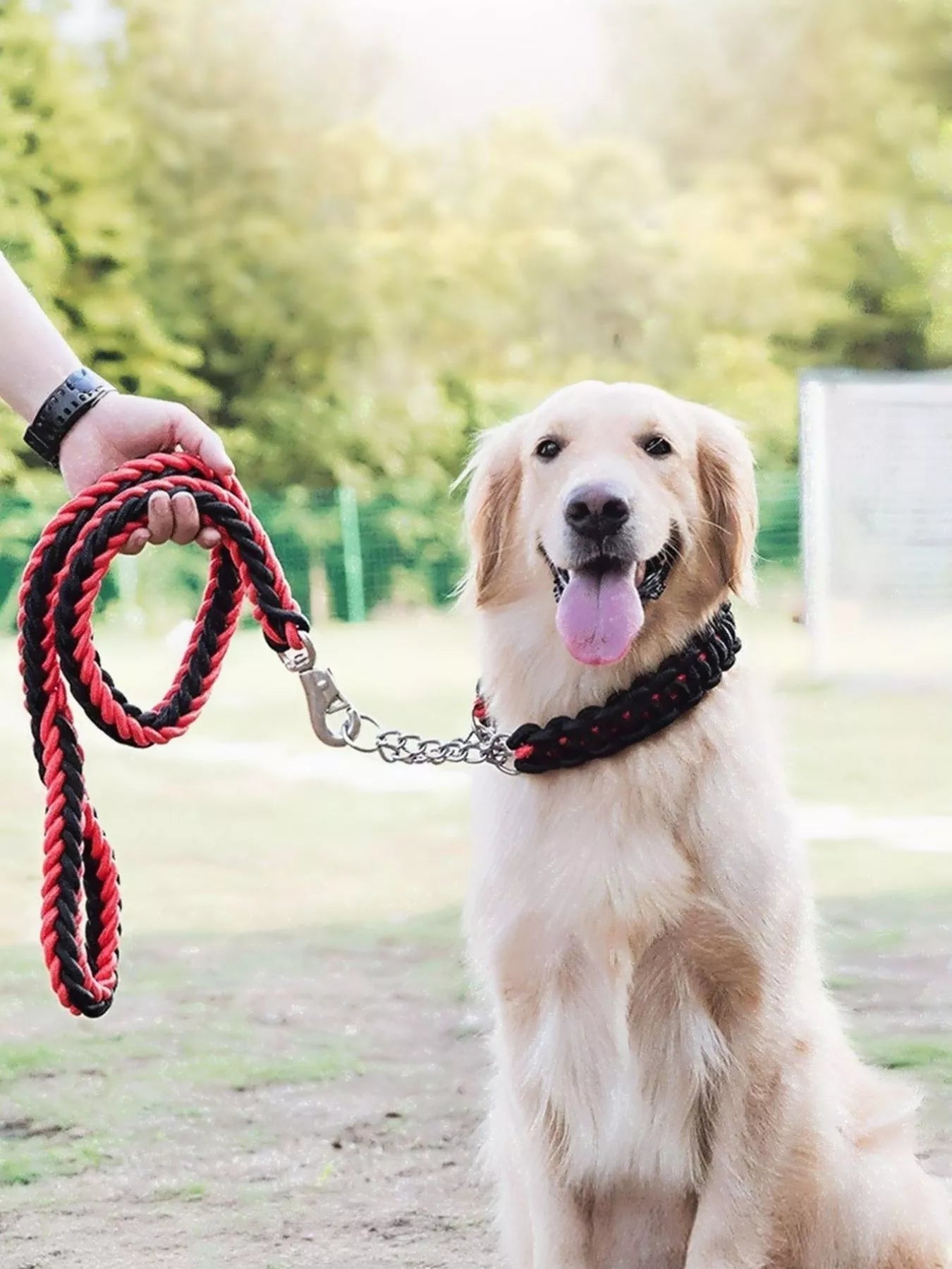 2 Piece Braided Rope Pet Leash with Metal Clasp - Loving It Shop