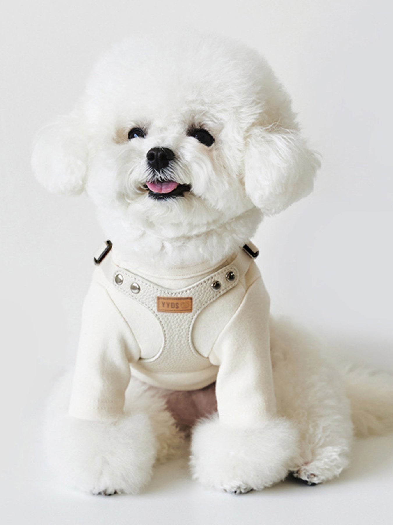 Rivet - Decorated Dog Harness Leash Set - Loving It Shop