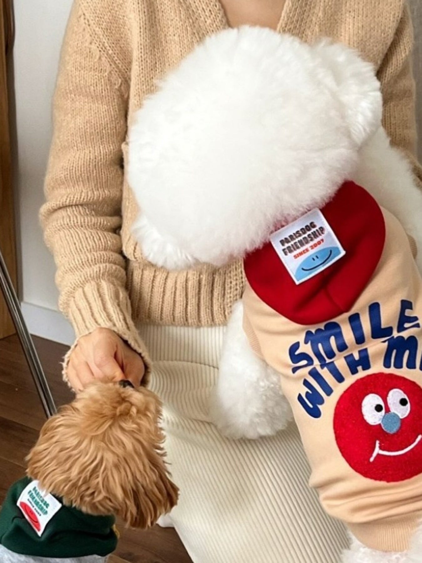 Cute Cartoon Pet Top - Loving It Shop