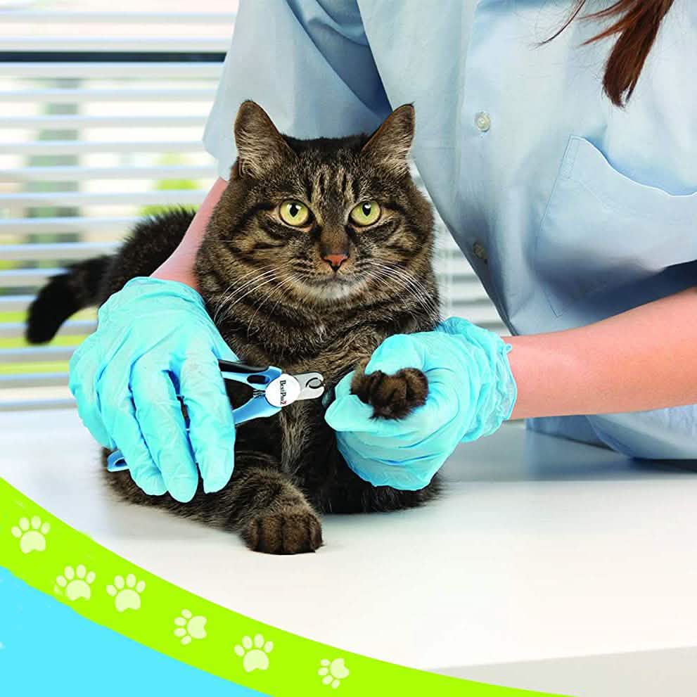 Cat &amp; Dog Nail Clippers &amp; Trimmers with Safety Guards