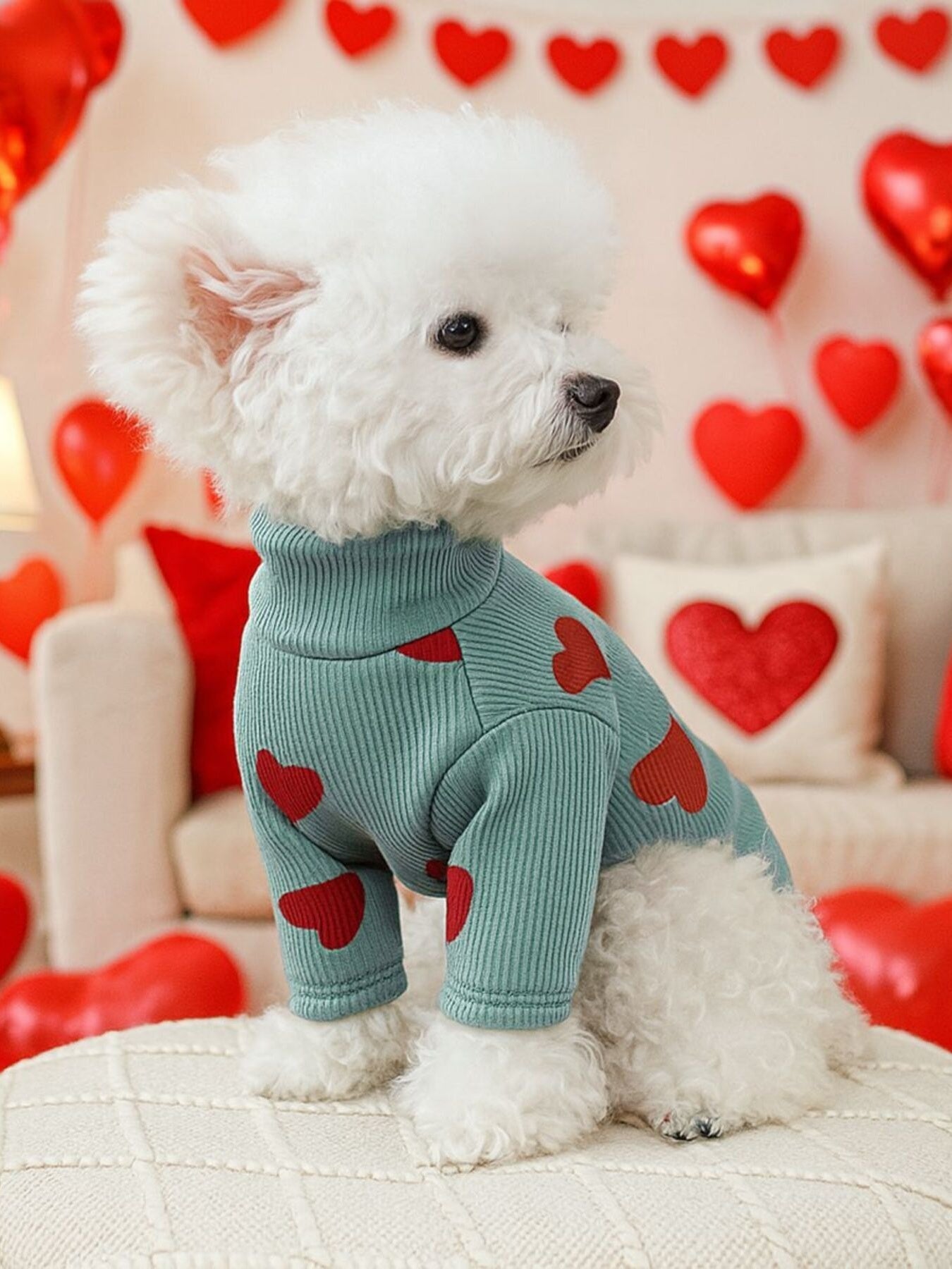 Heart Pattern Pet Sweater - Loving It Shop