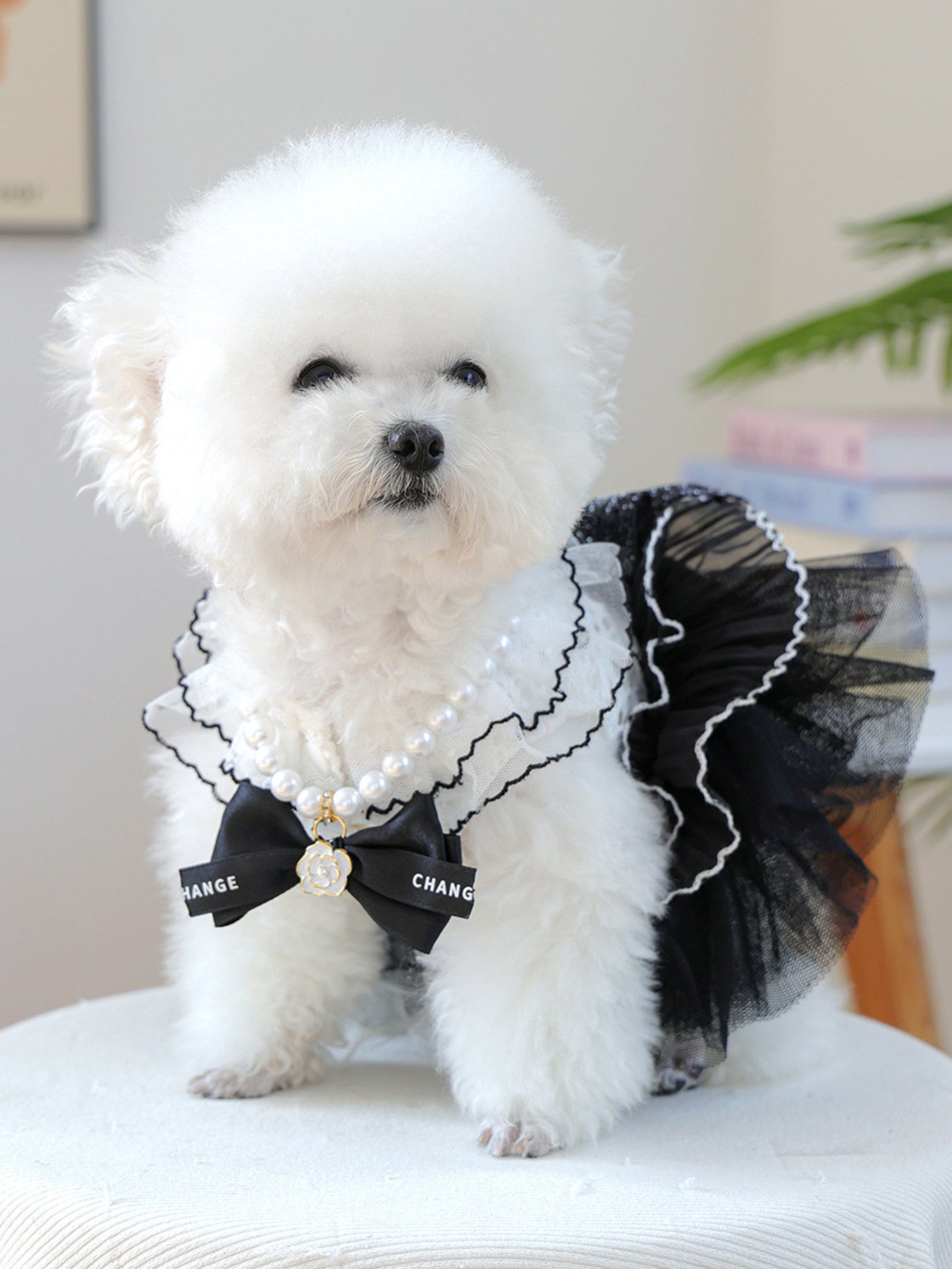 Pearl Bowknot Pet Necklace - Loving It Shop