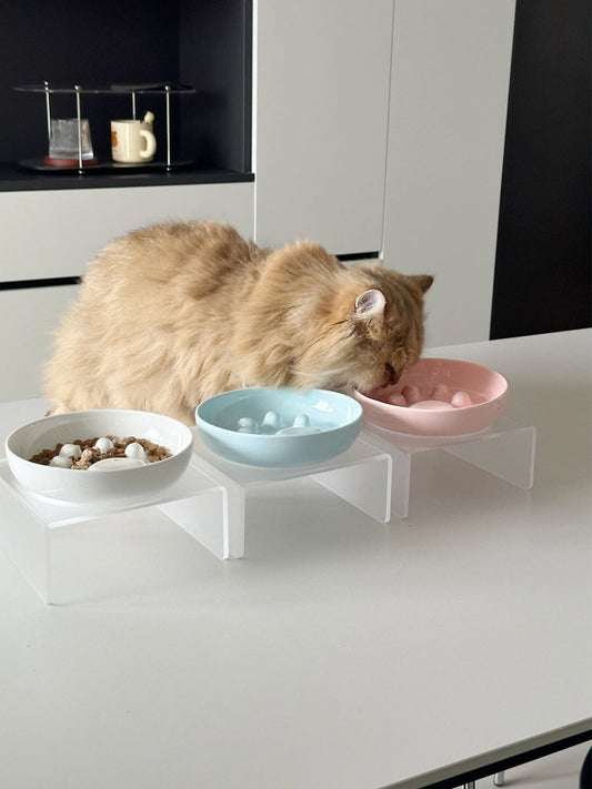 Elevated Slow Feeder Pet Bowls - Loving It Shop