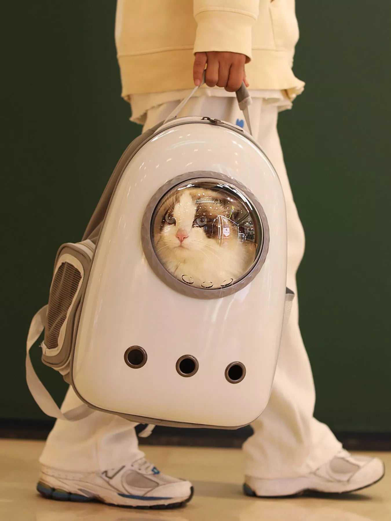 Space Capsule Transparent Pet Carrier Backpack - Loving It Shop