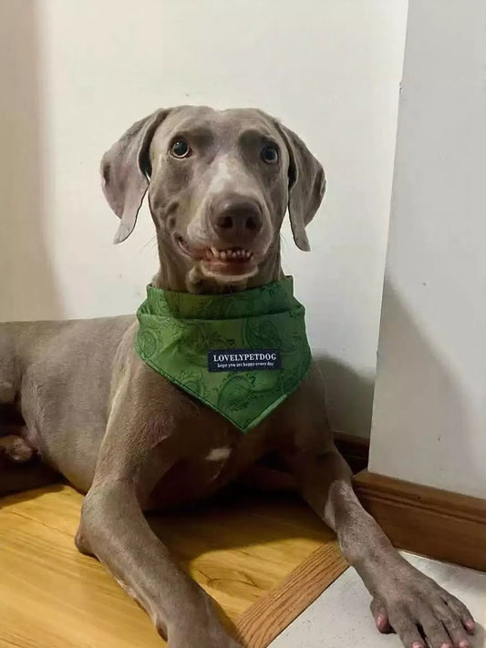 Lightweight Pet Scarf - Loving It Shop