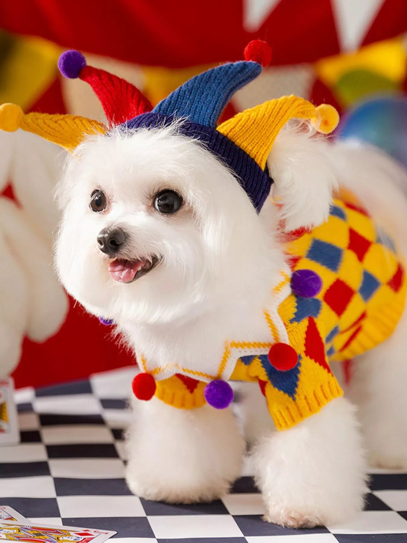 Ribbed Knit Pet Sweaters - Loving It Shop