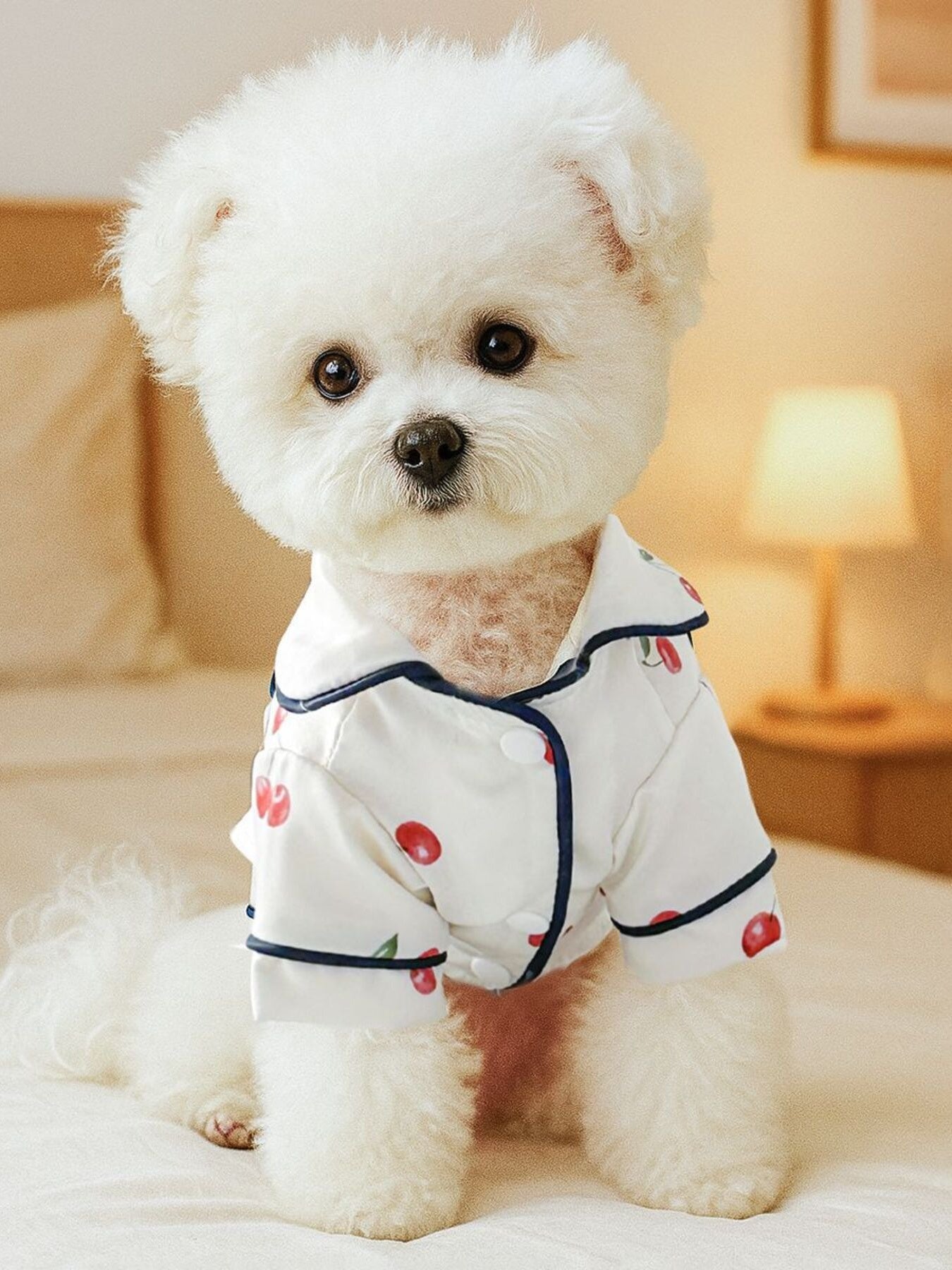 Satin Pet Pajamas with Contrast Piping - Loving It Shop