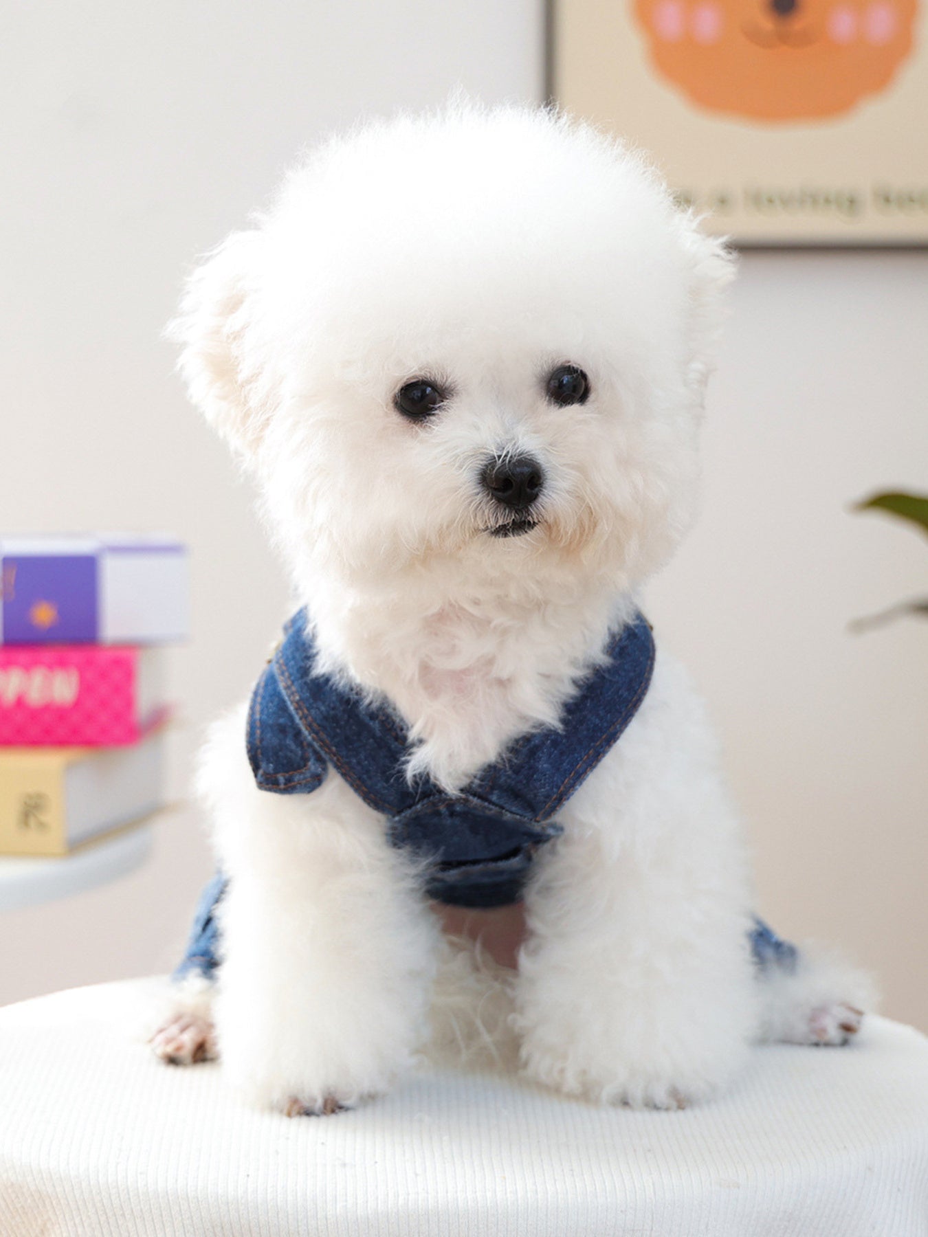 Denim Pet Overalls - Loving It Shop