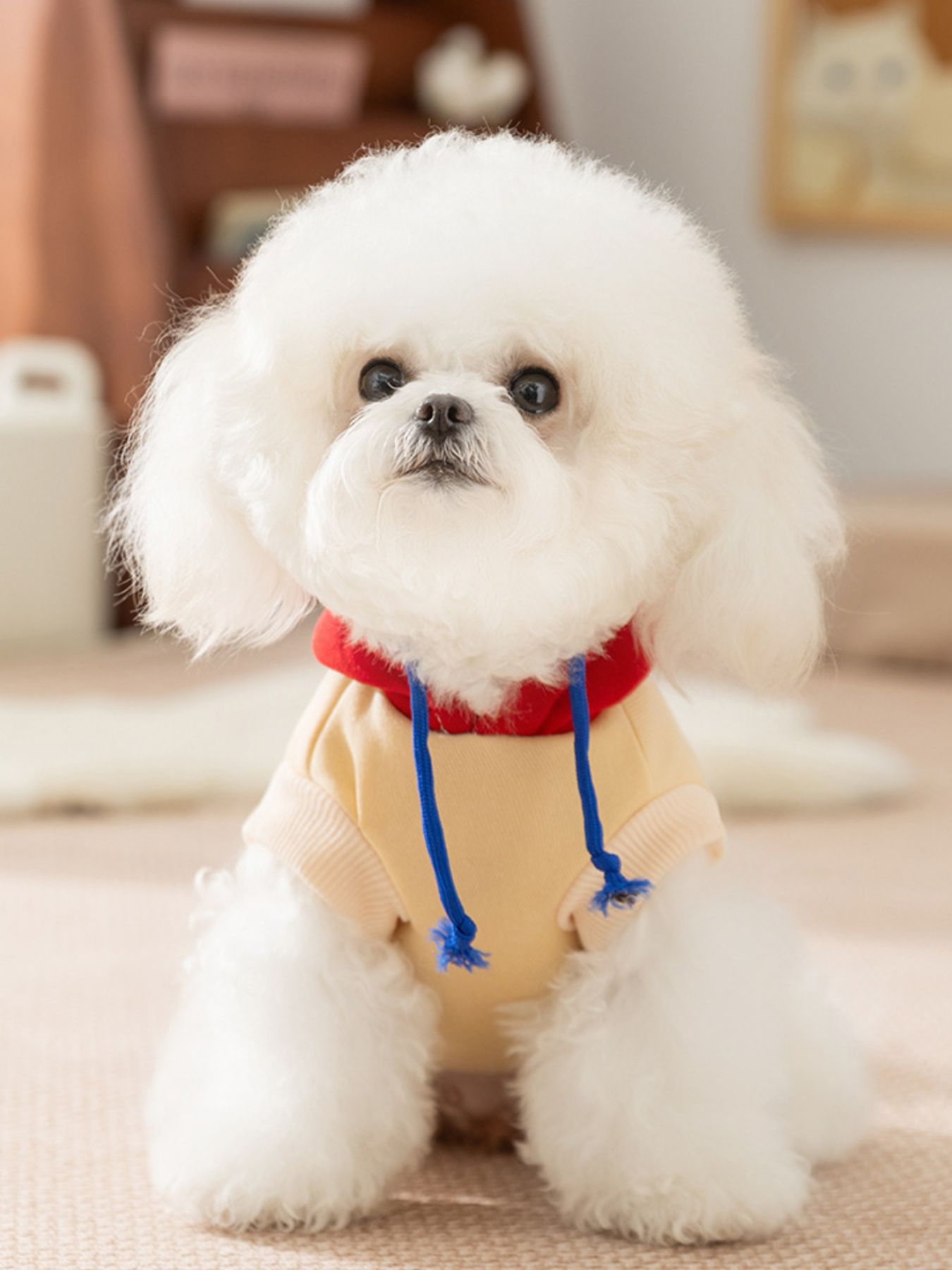 Cute Cartoon Pet Top - Loving It Shop