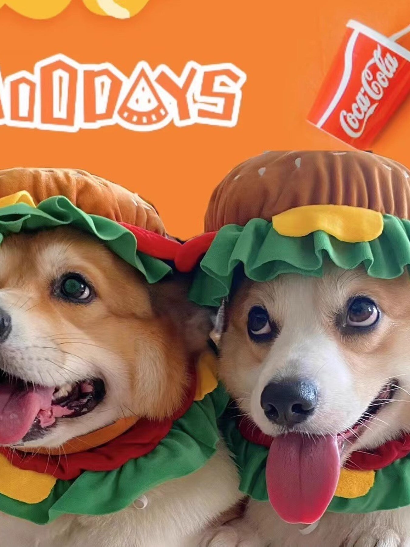Hamburger Style Pet Headwear - Loving It Shop