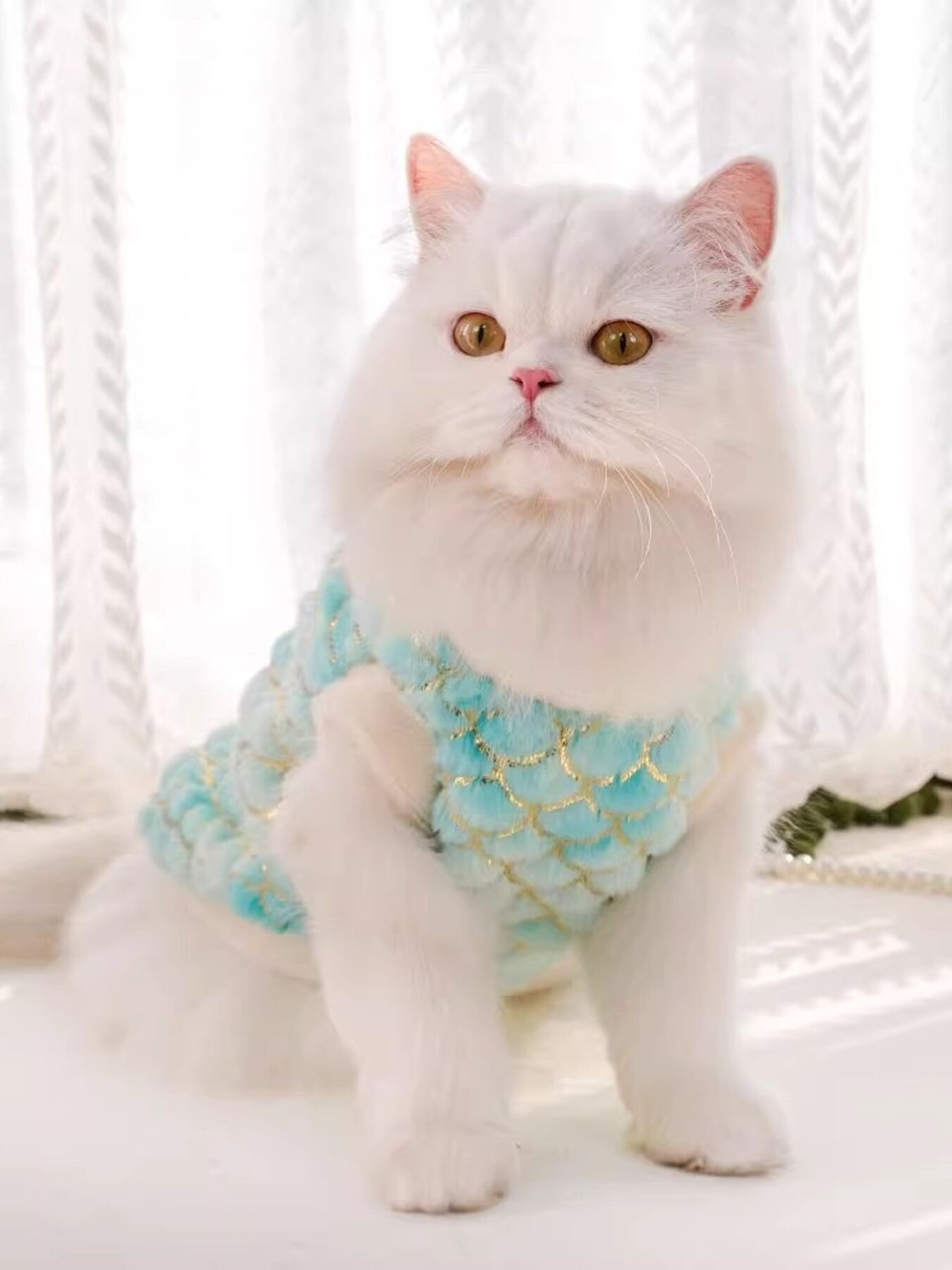 Mermaid Scale Plush Pet Top - Loving It Shop
