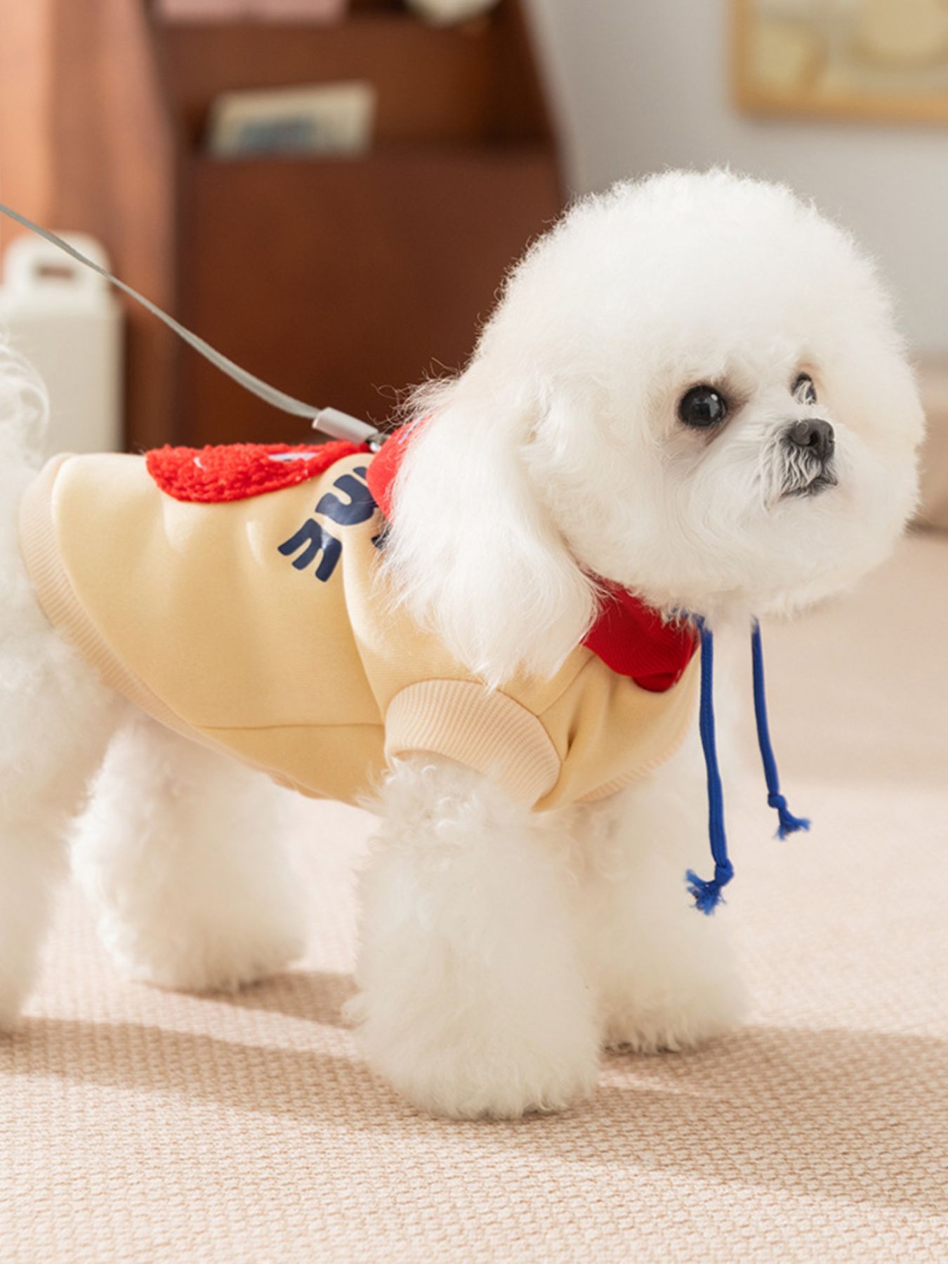 Cute Cartoon Pet Top - Loving It Shop
