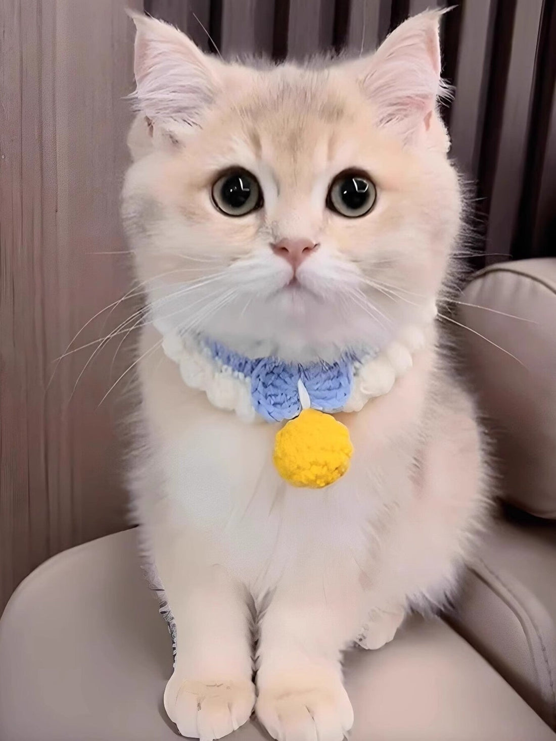Crochet Pet Collars with Bell - Loving It Shop