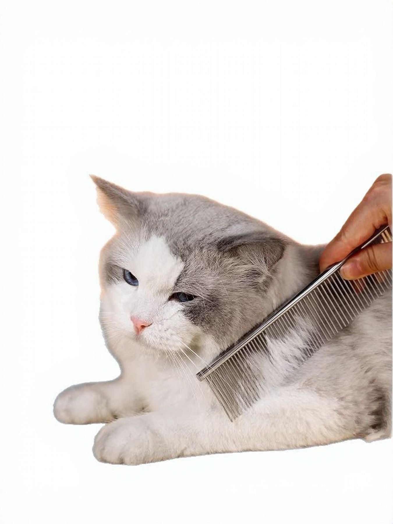 Stainless Steel Pet Grooming Comb for Hair Removal - Loving It Shop