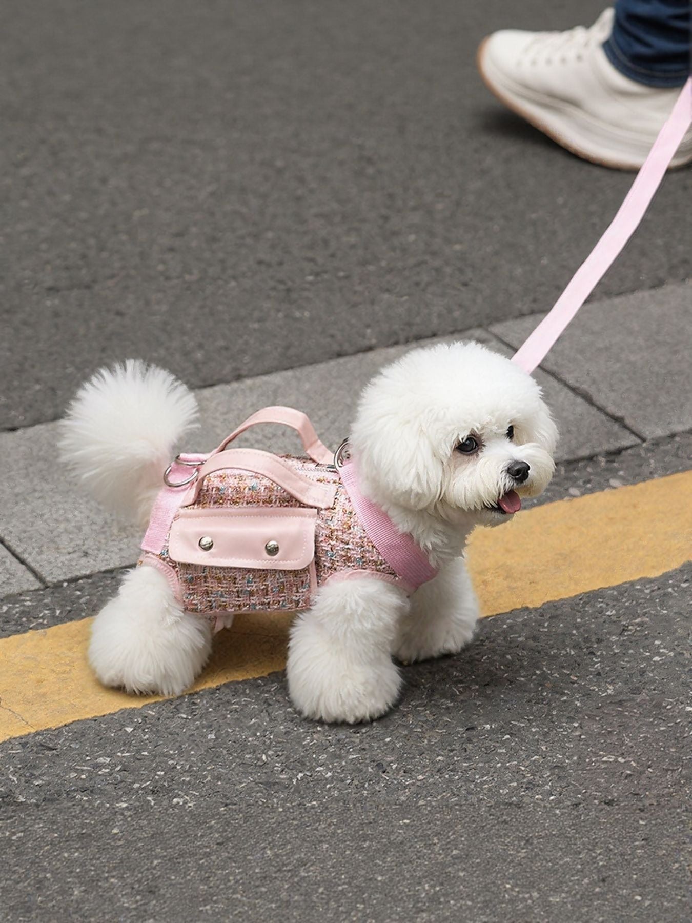 Tweed Pet Harness with Strap - Loving It Shop