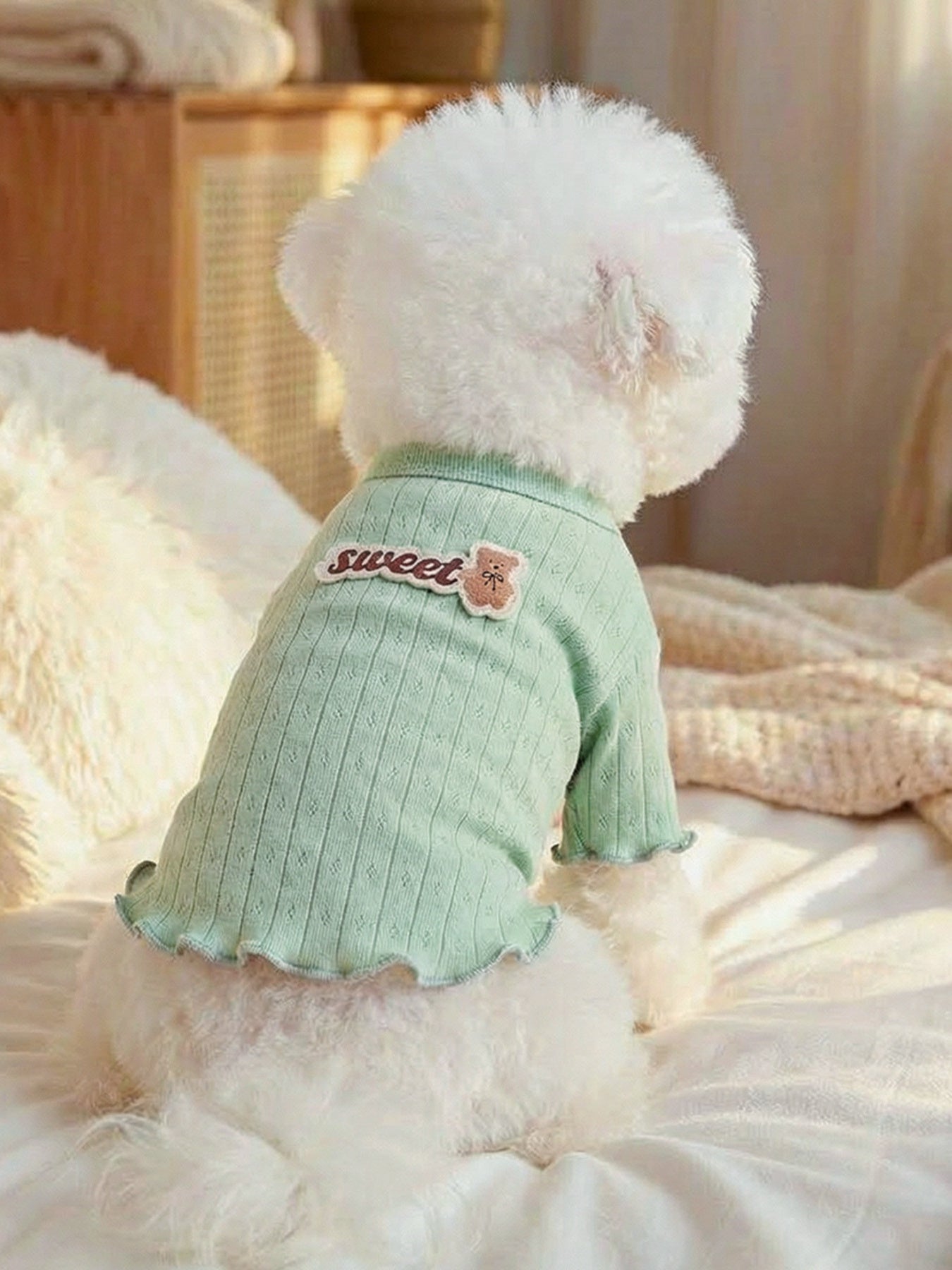 Sweet Bear Patch Ribbed Pet Top - Loving It Shop