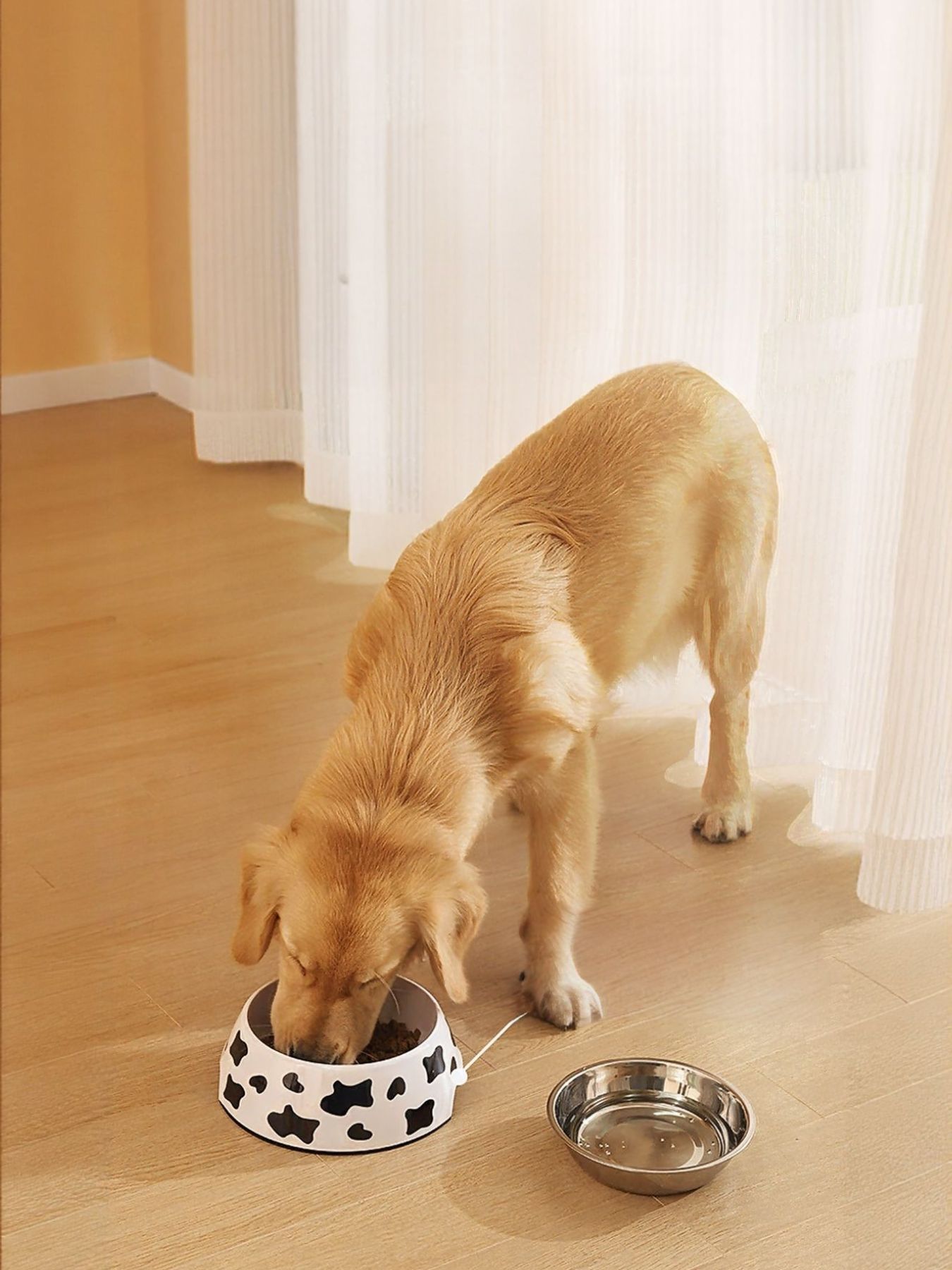 Stainless Steel Pet Bowl - Loving It Shop