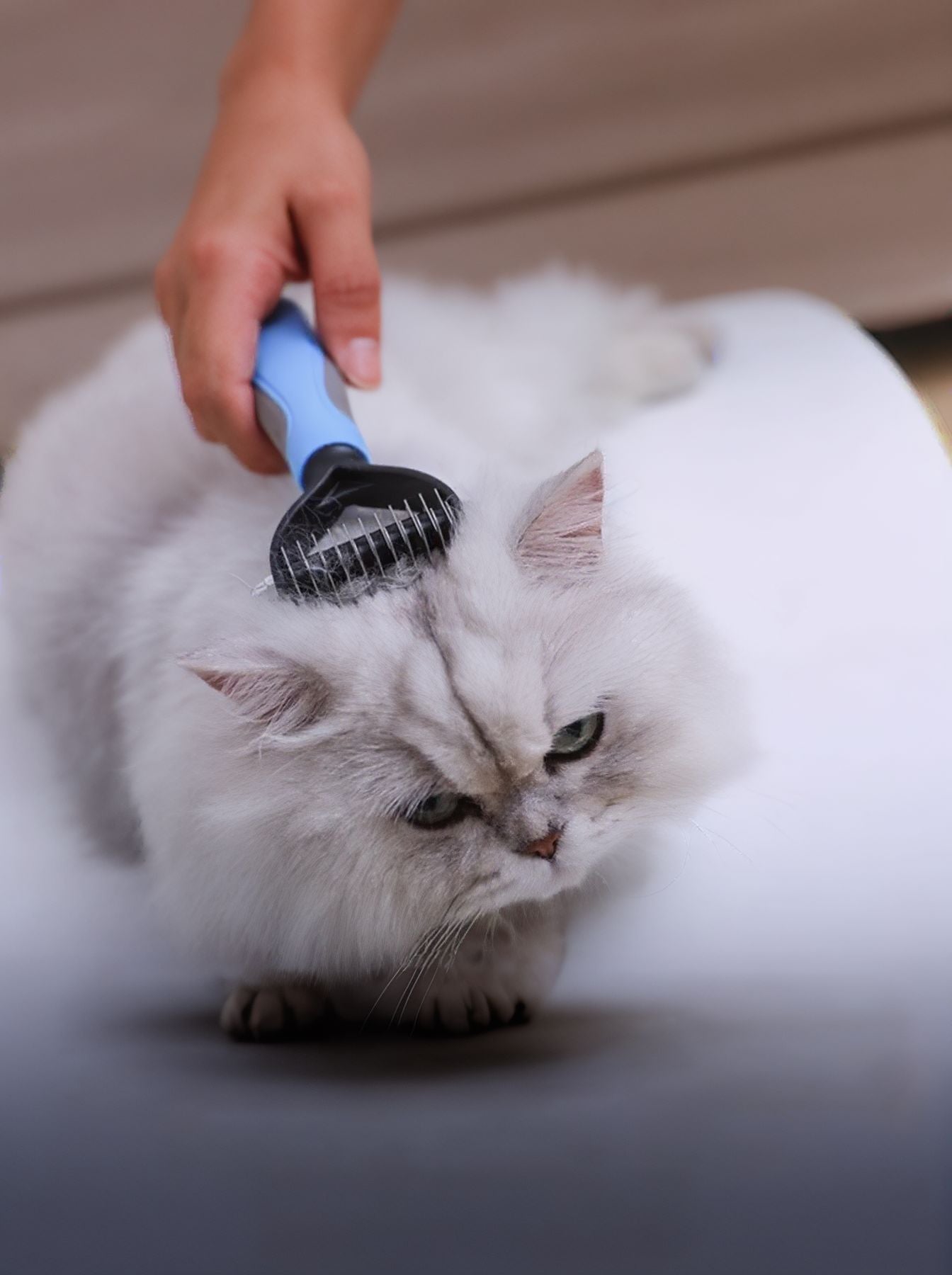 Reduces Shedding Pet Hair Removal Combs - Loving It Shop