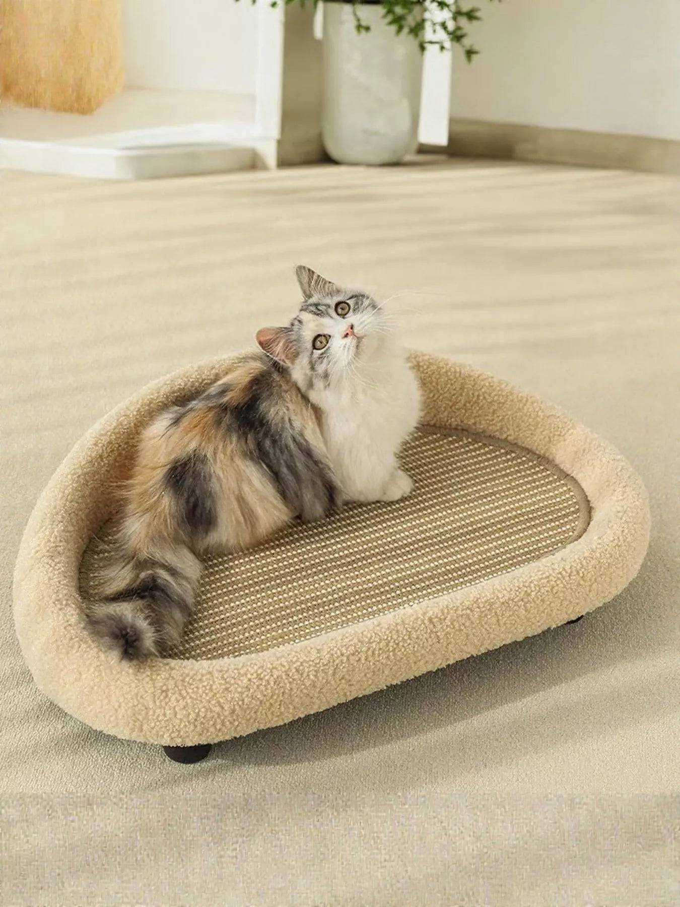 Soft Cat Scratching Post Bed - Loving It Shop
