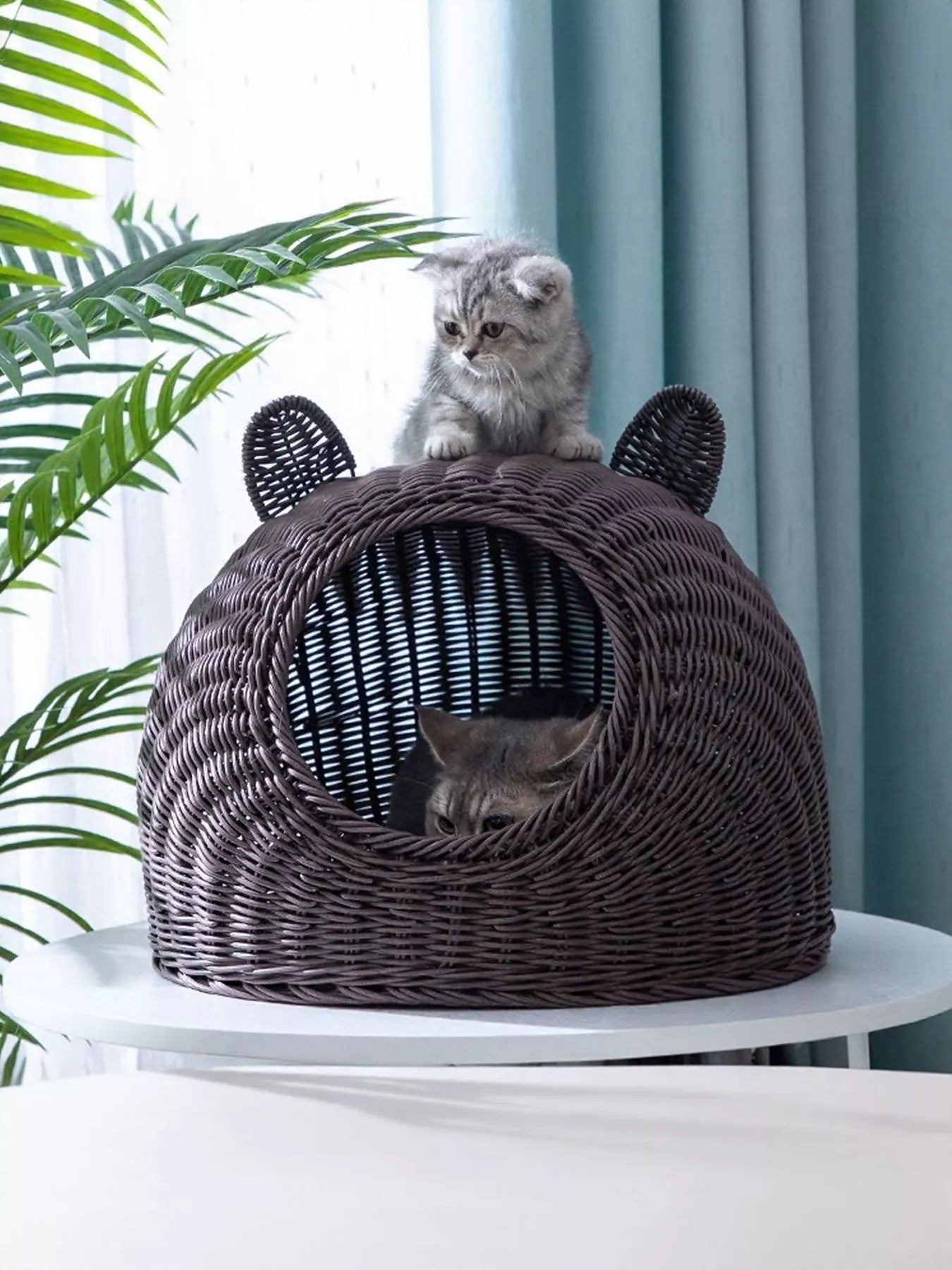 Rattan Washable Breathable Pet Nest - Loving It Shop