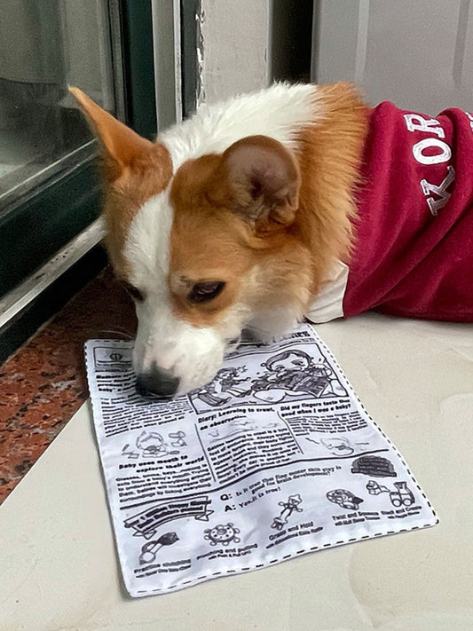 Newspaper Style Pet Sound Toy - Loving It Shop