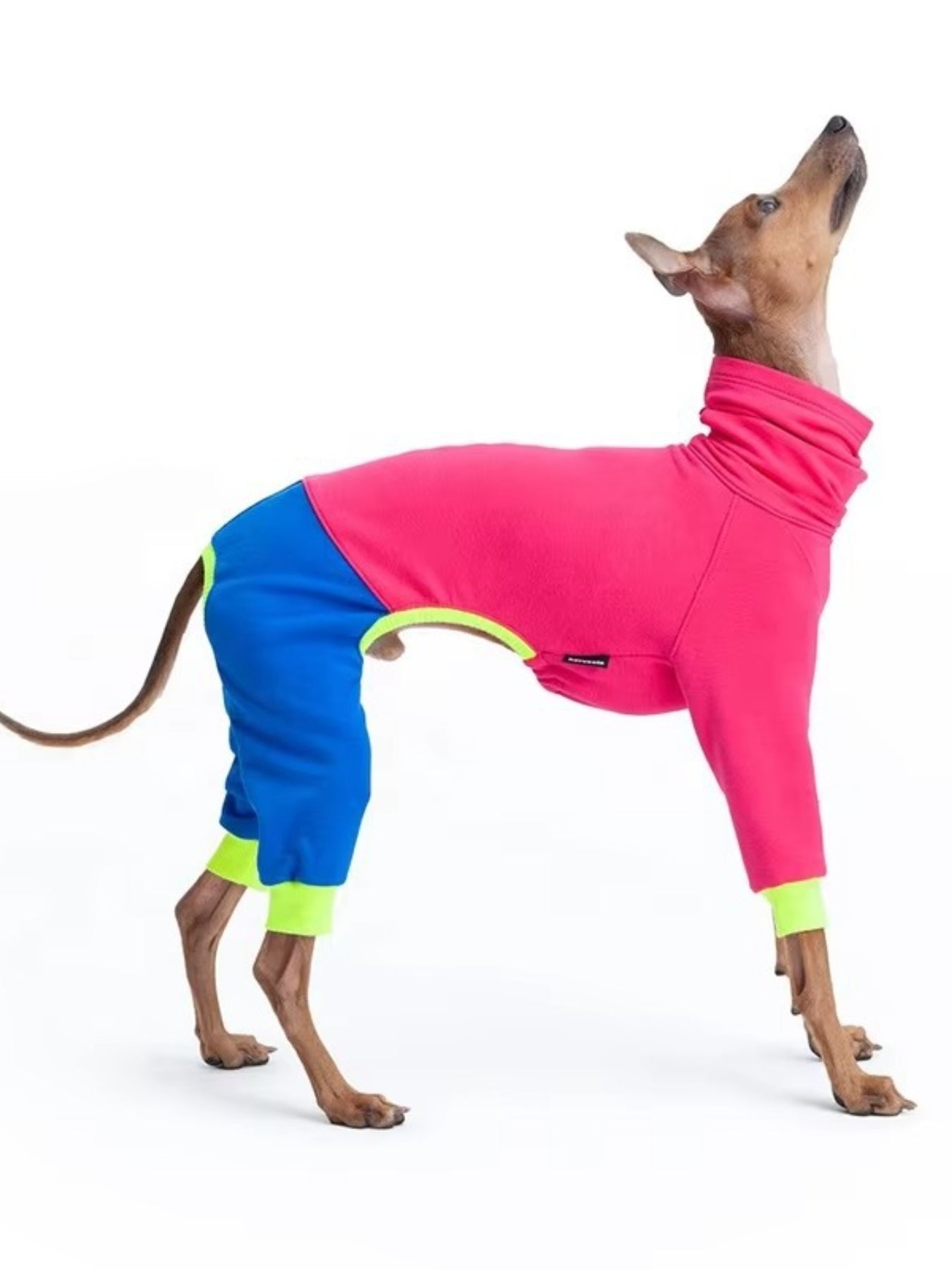 Full Size Color Block Turtleneck Pet Jumpsuits Plus Size - Loving It Shop