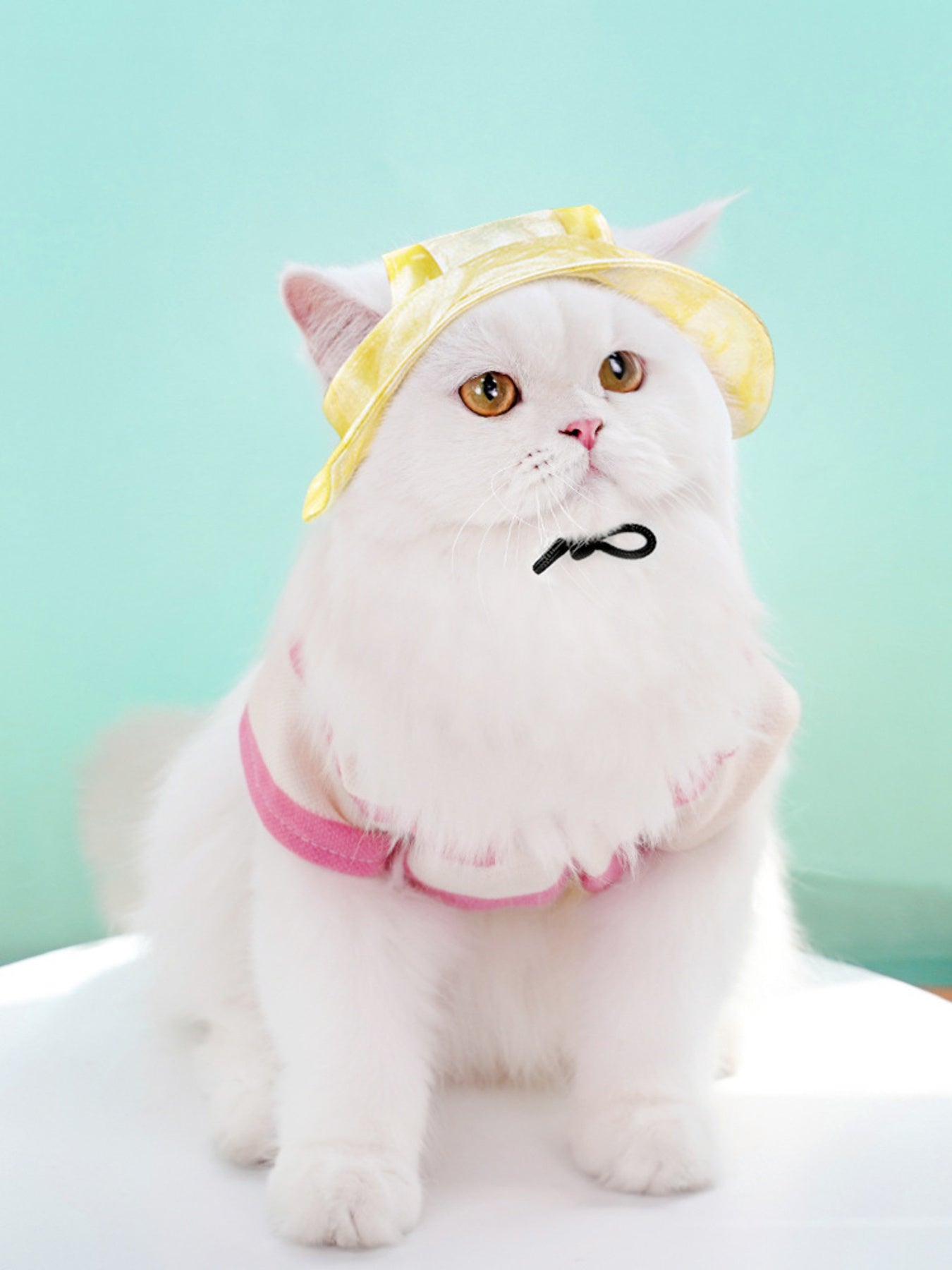 Adjustable Pet Visor Hat - Loving It Shop