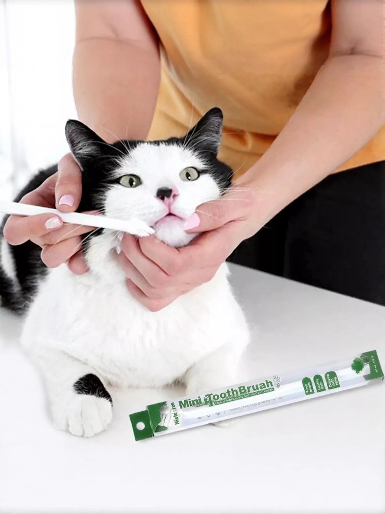 Plastic Pet Toothbrush - Loving It Shop