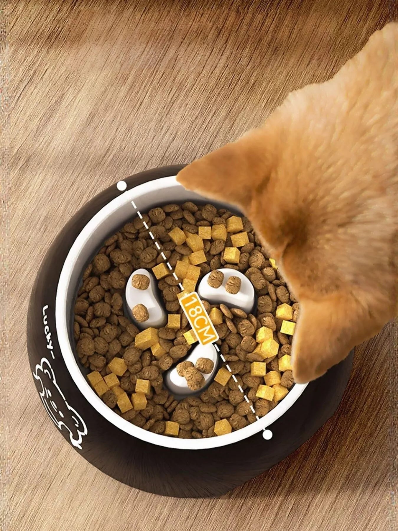 Cute Cartoon Pattern Pet Bowl - Loving It Shop