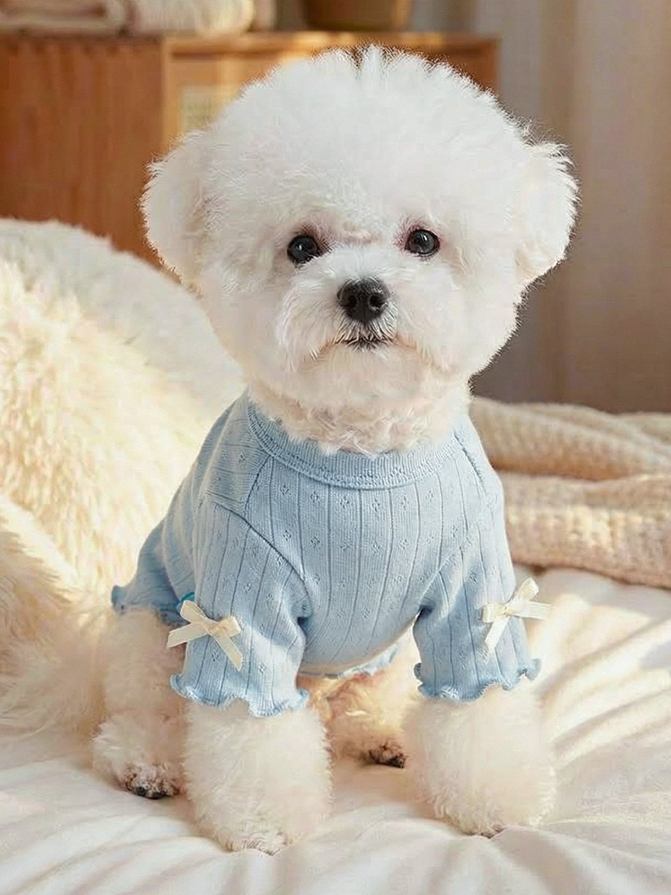 Sweet Bear Patch Ribbed Pet Top - Loving It Shop