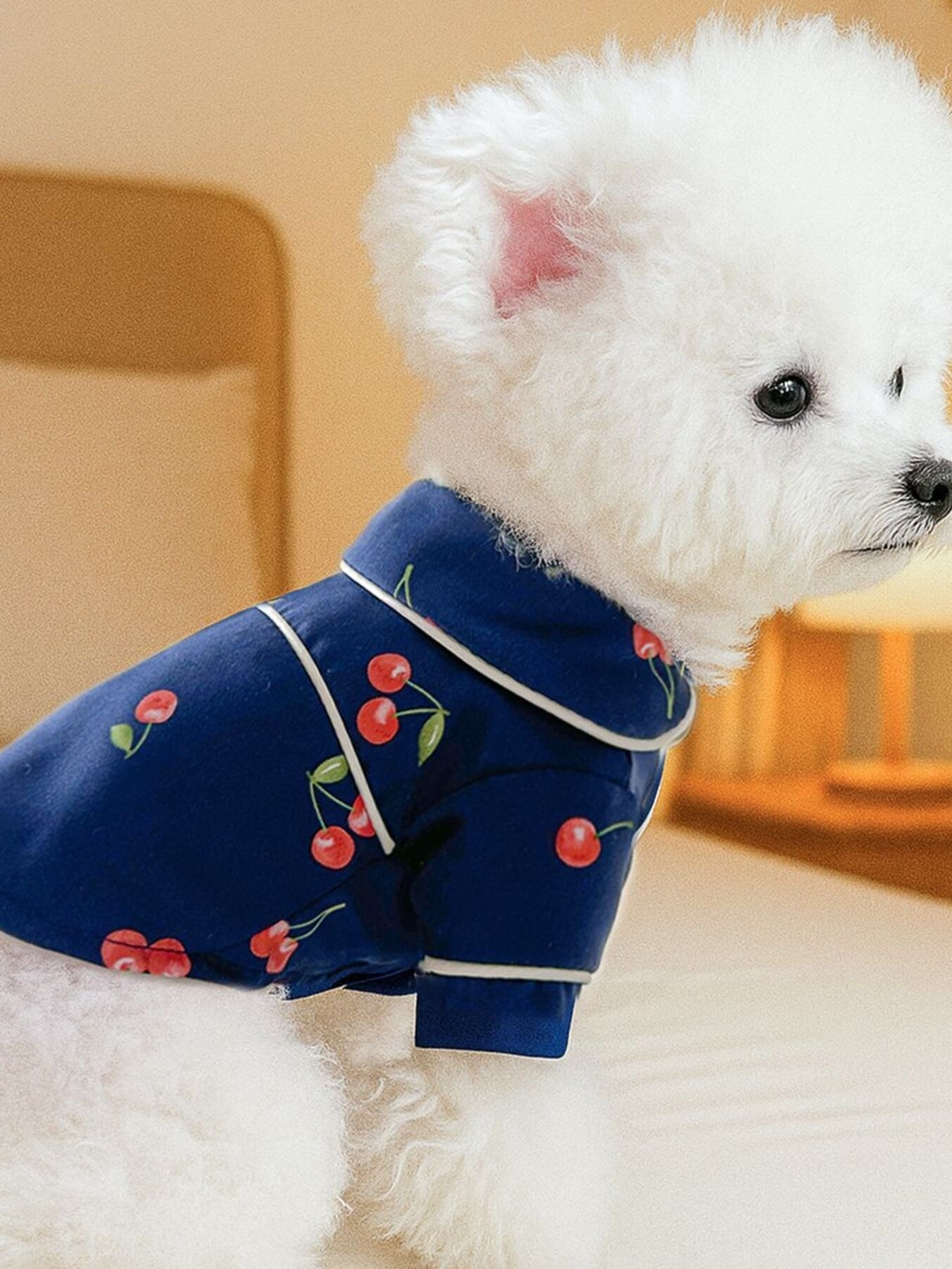 Satin Pet Pajamas with Contrast Piping - Loving It Shop