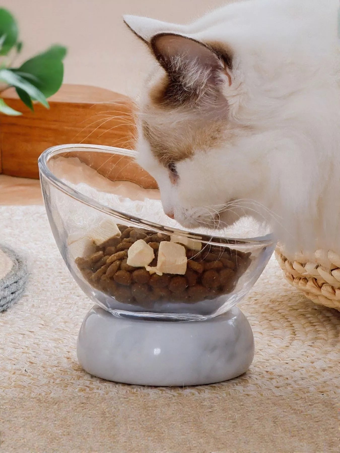 Elevated Tilted Non - Slip Clear Pet Bowl - Loving It Shop