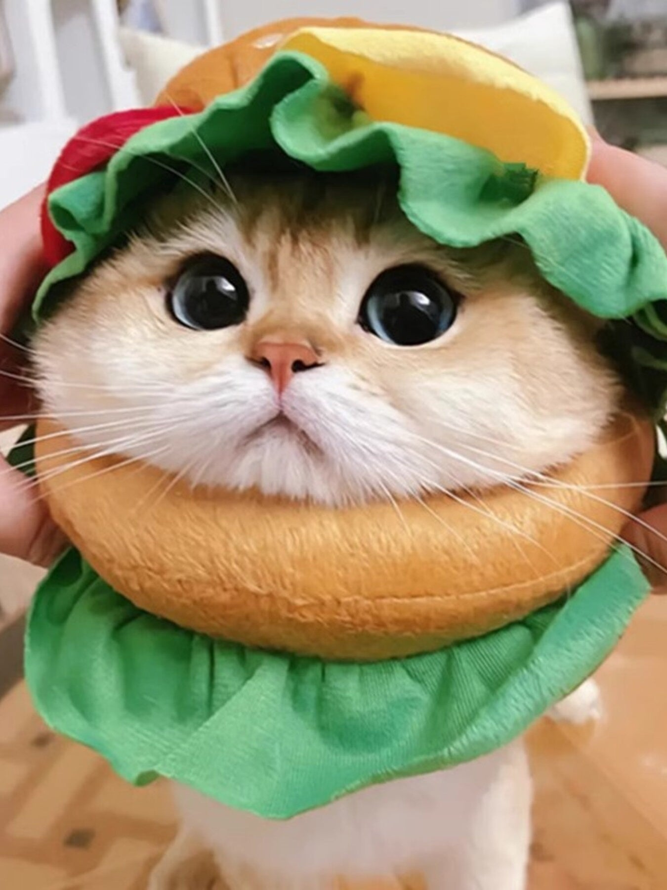 Hamburger Style Pet Headwear - Loving It Shop