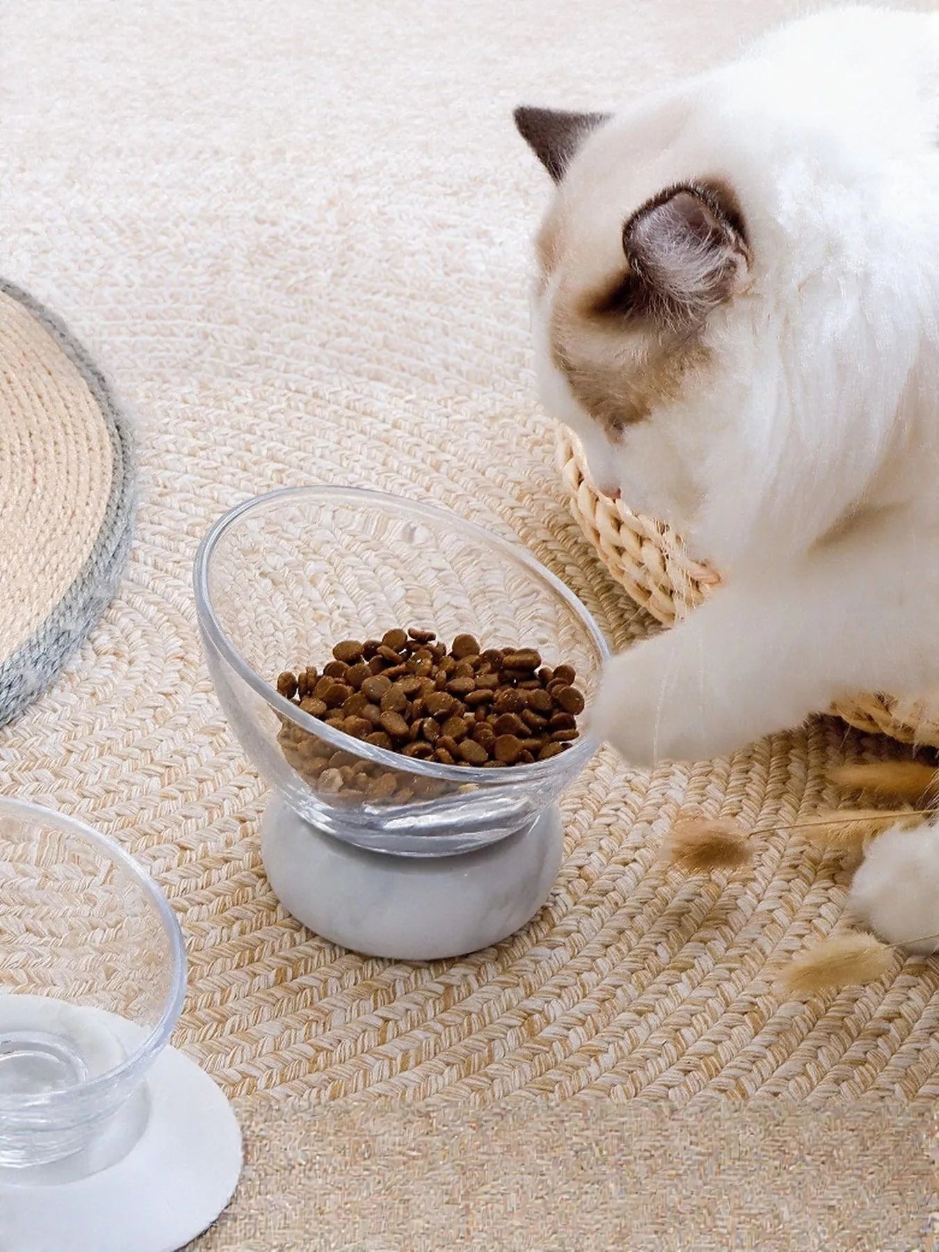 Elevated Tilted Non - Slip Clear Pet Bowl - Loving It Shop