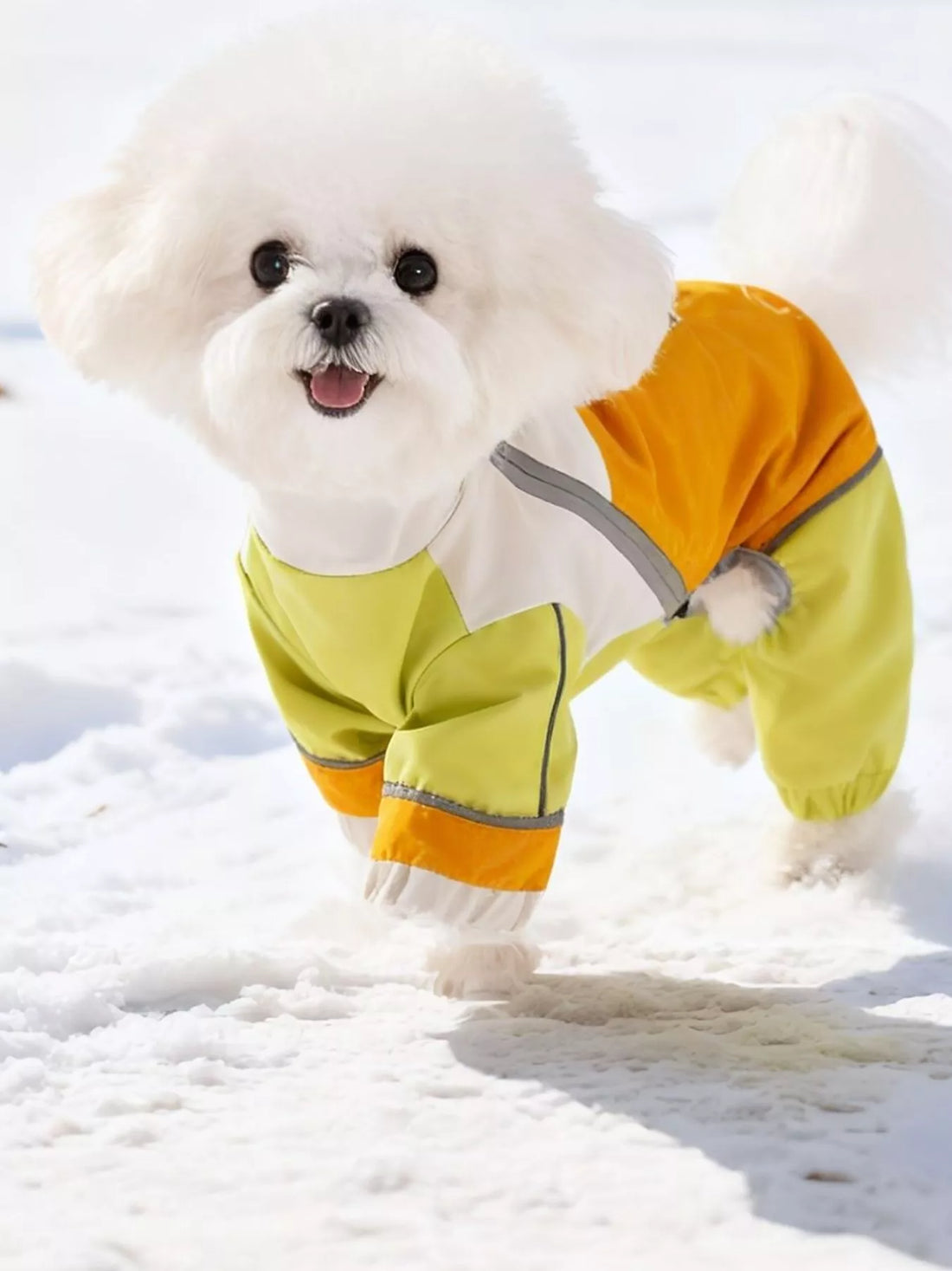 Color Block Warm Pet Jumpsuit - Loving It Shop