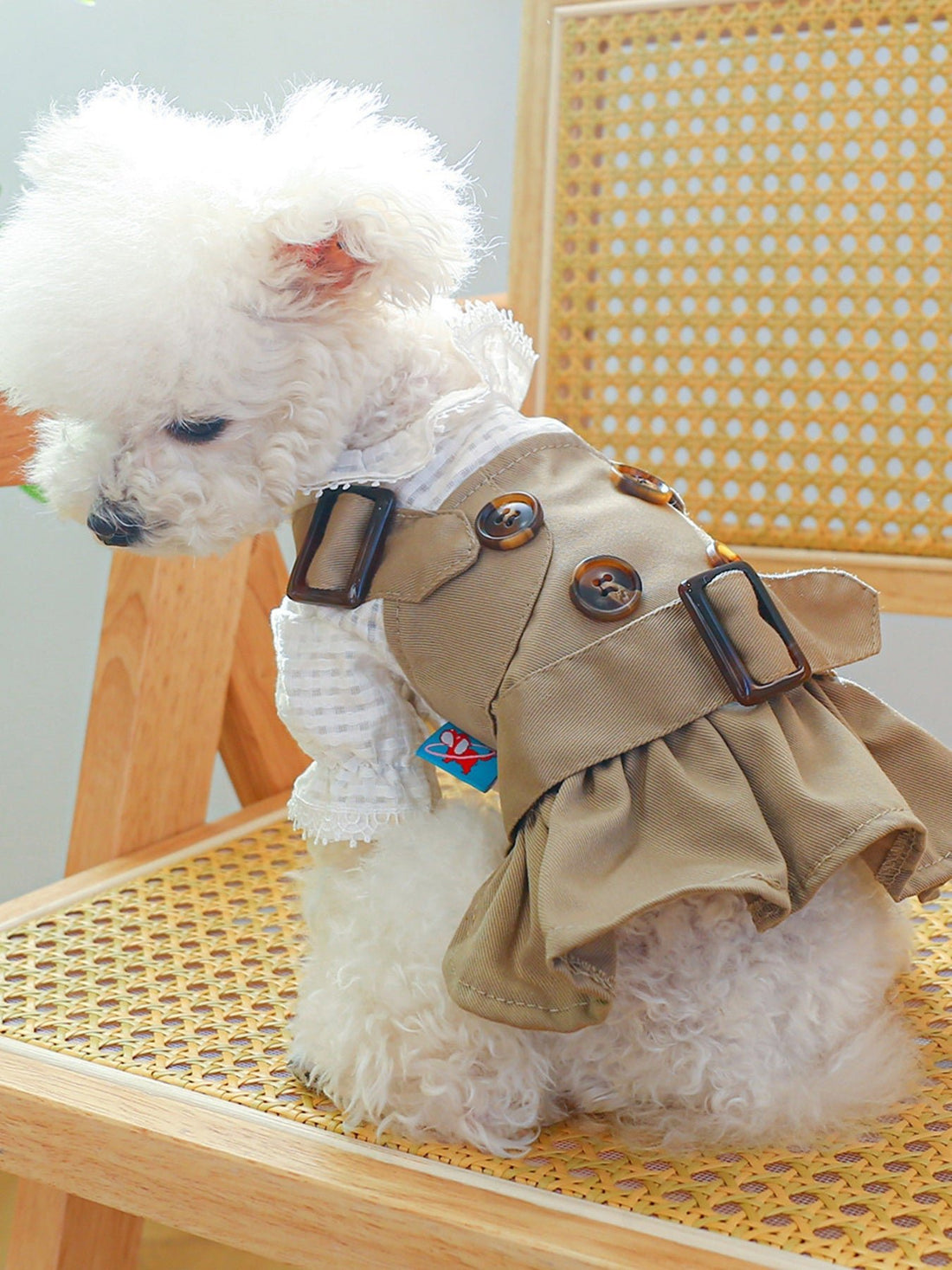 Buckle Pet Trench Coat - Loving It Shop