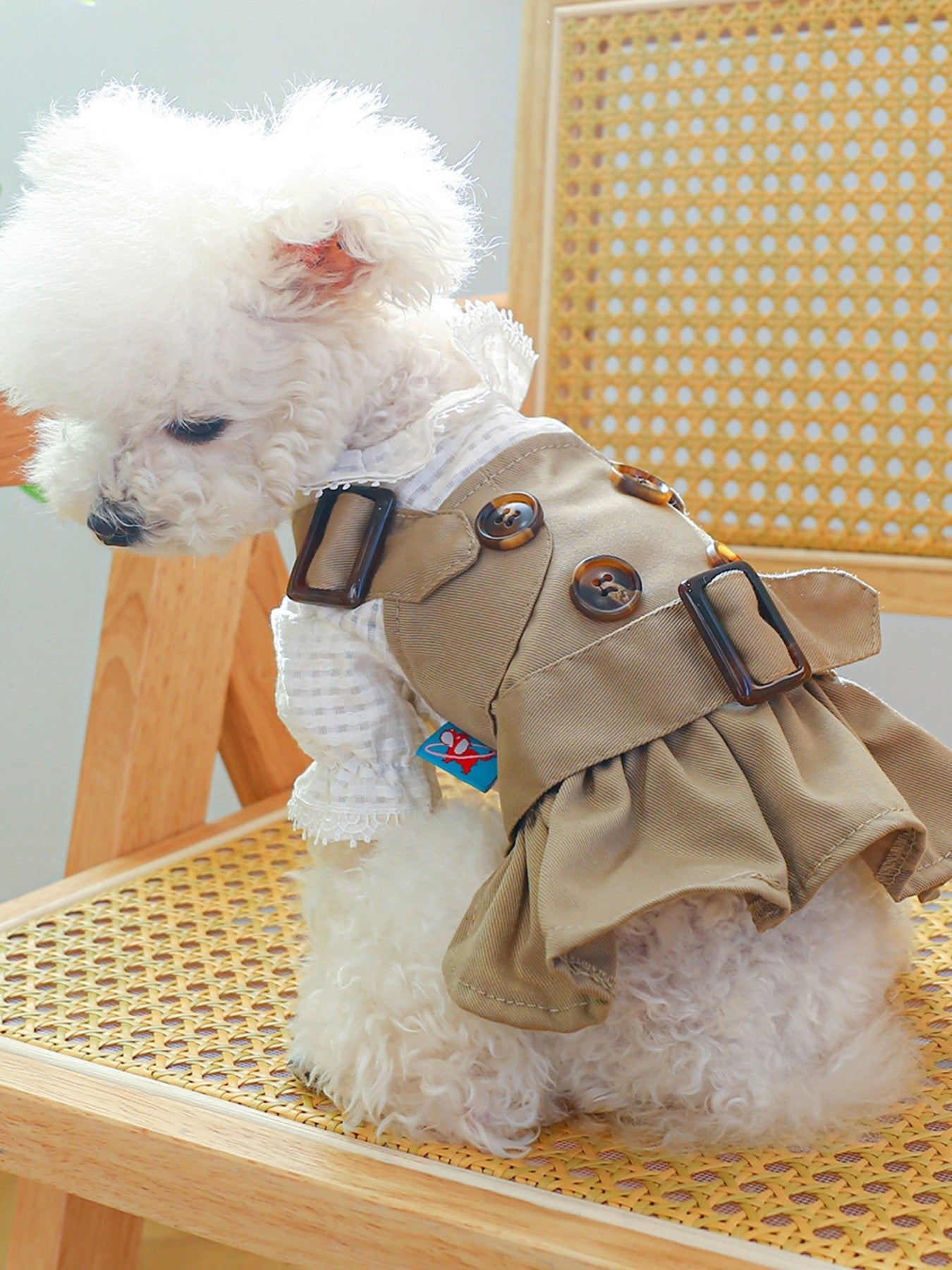 Buckle Pet Trench Coat - Loving It Shop