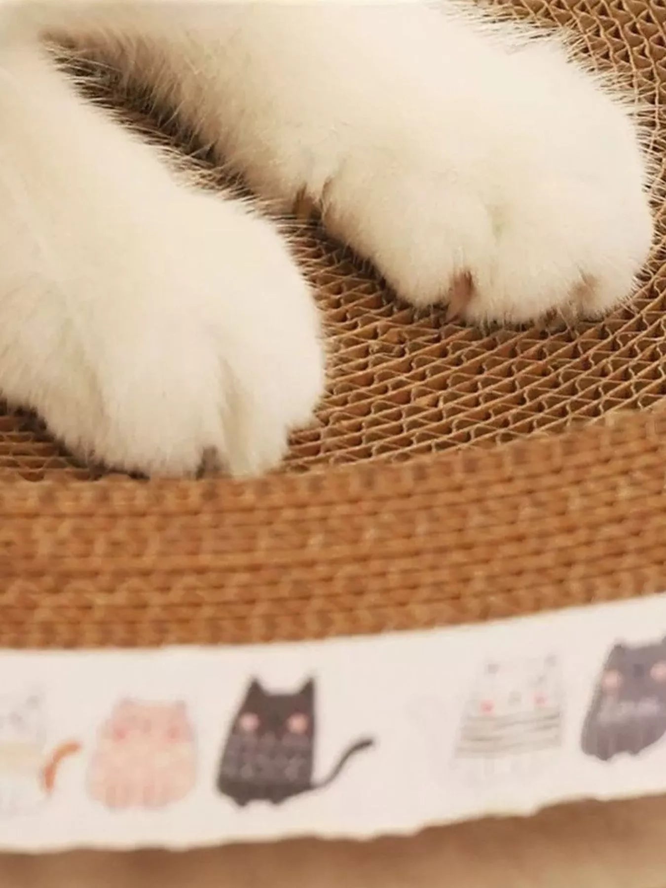 Wear - Resistant Cat Scratching Lounge Bed - Loving It Shop