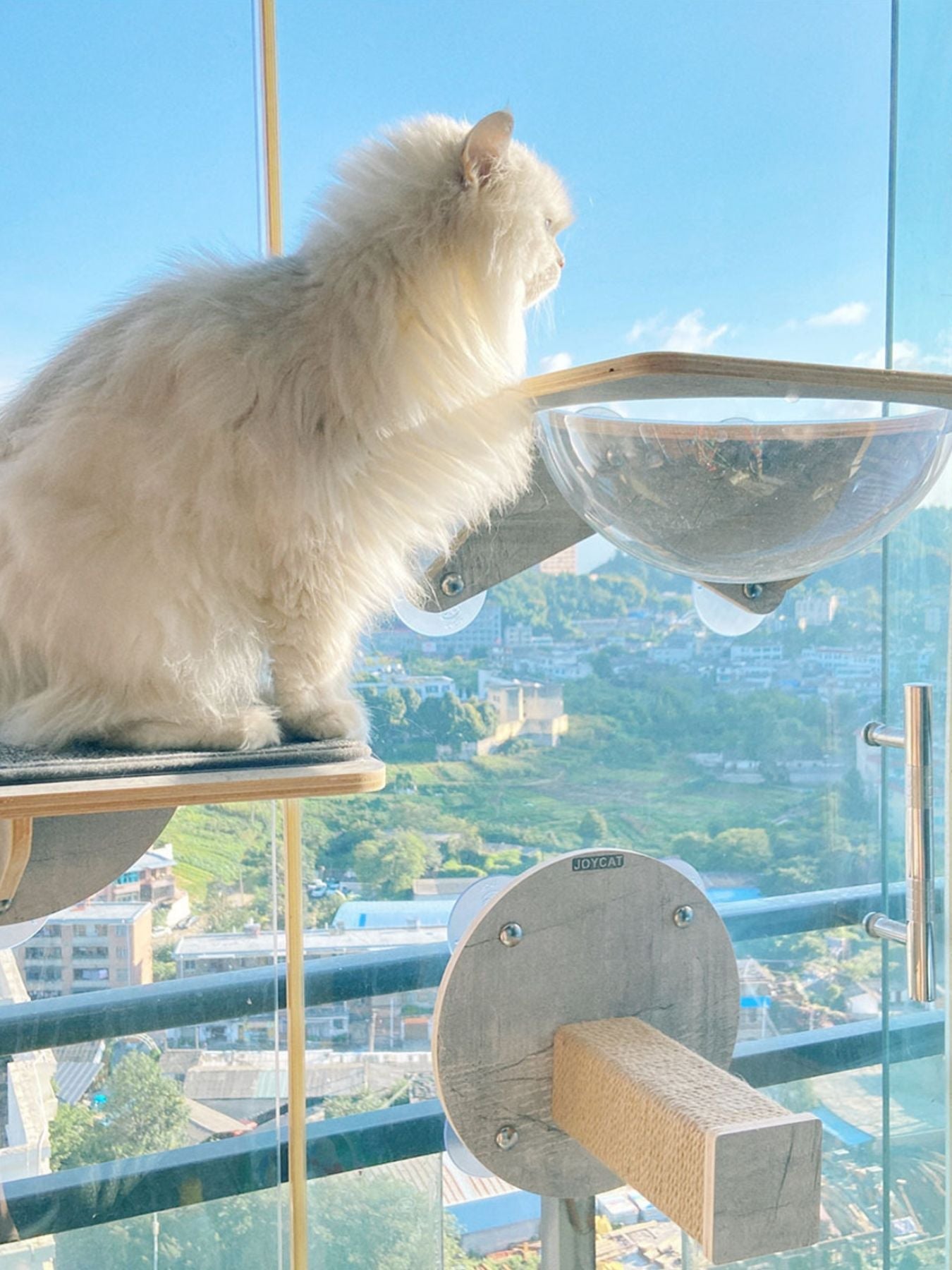 Window Mounted Cat Condos - Loving It Shop