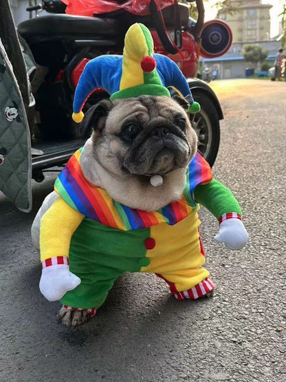 Colorful Clown Pet Jumpsuit with Hat - Loving It Shop