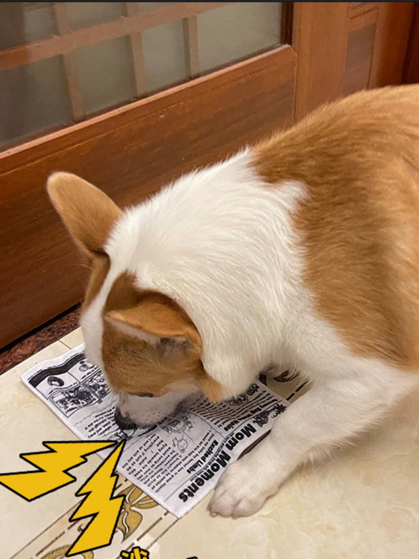 Newspaper Style Pet Sound Toy - Loving It Shop
