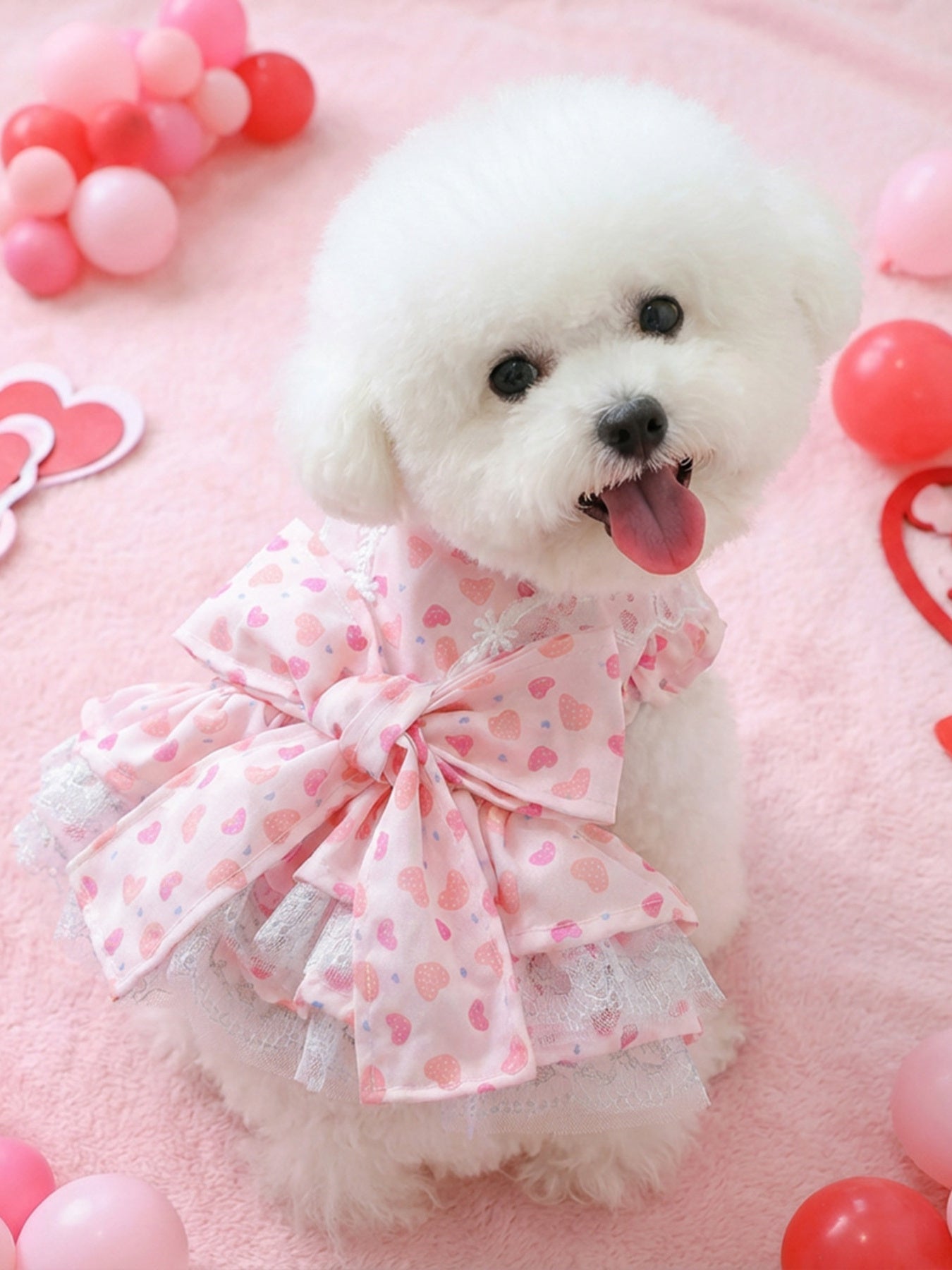 Bow Printed Pet Dress - Loving It Shop