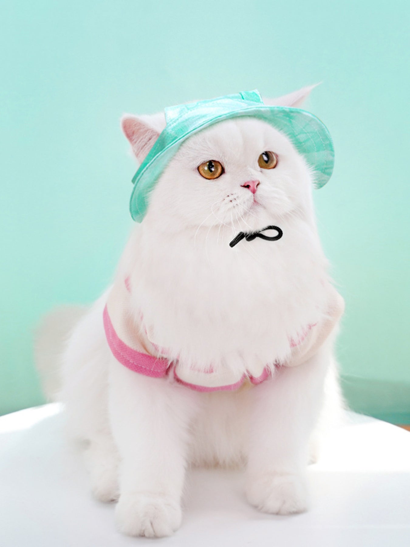 Adjustable Pet Visor Hat - Loving It Shop