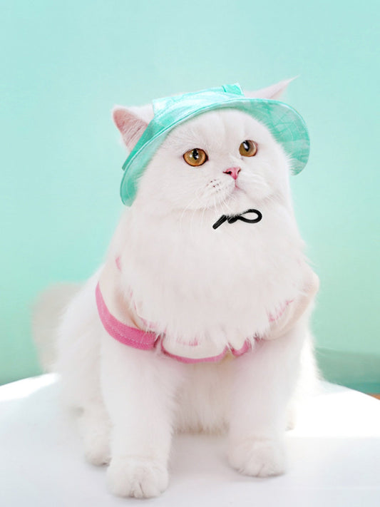 Adjustable Pet Visor Hat - Loving It Shop