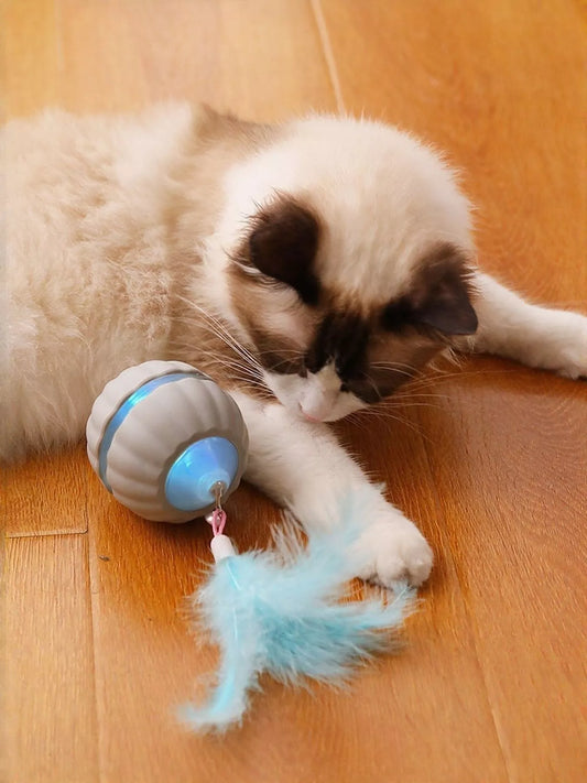 Interactive LED Sound Ball with Feather Teaser - Loving It Shop